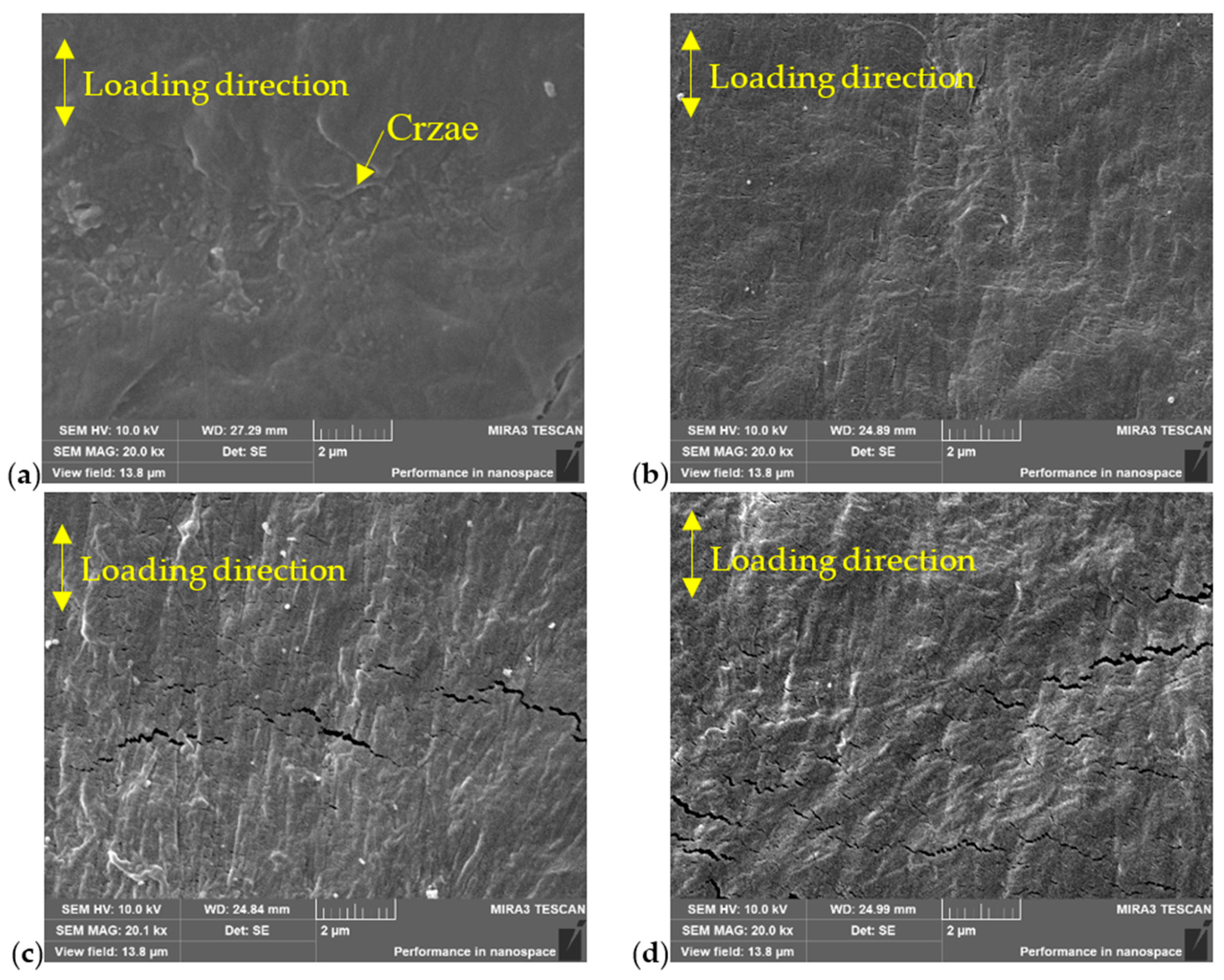 Polymers 16 01803 g005