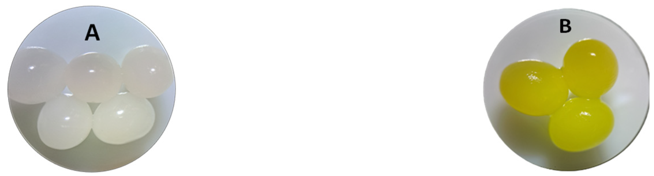 Polymers 16 01804 g002