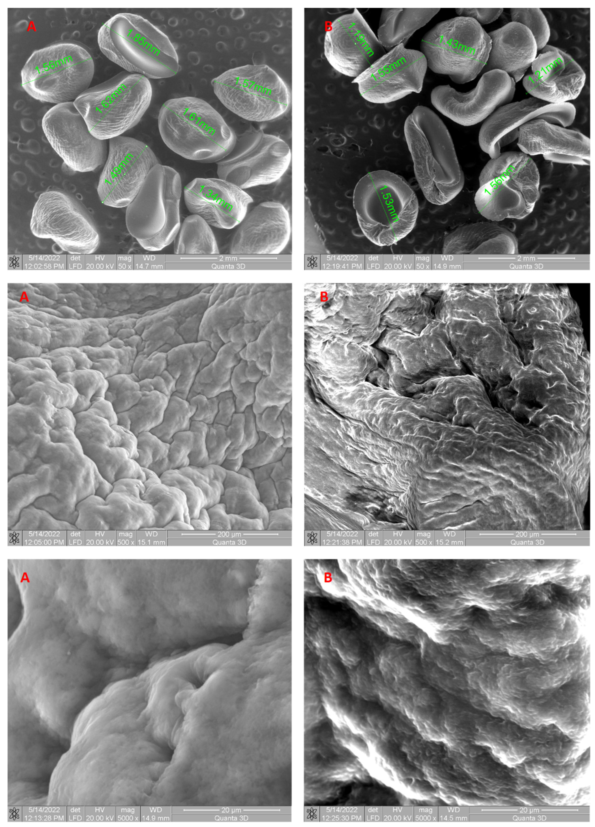 Polymers 16 01804 g003