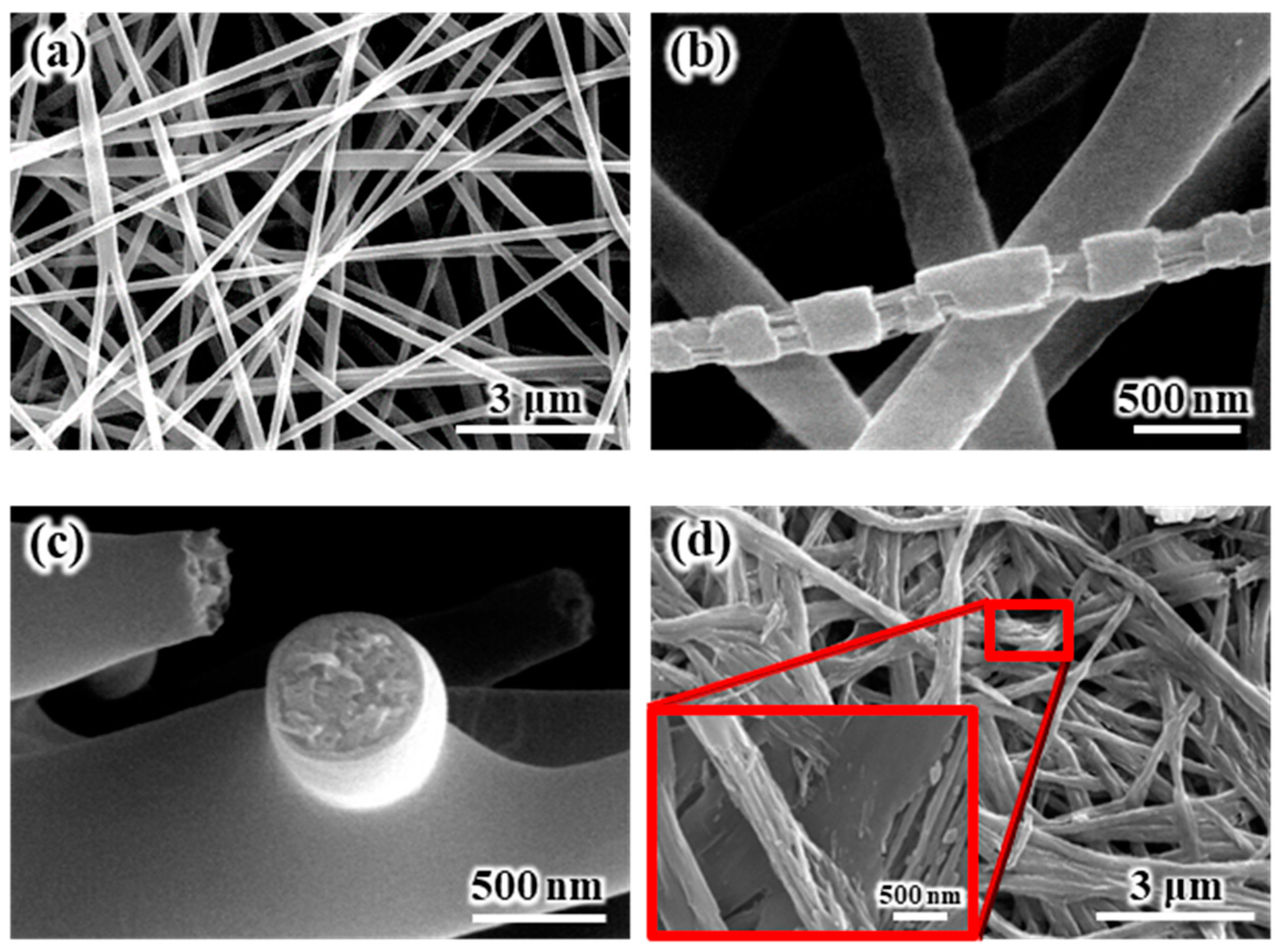 Polymers 16 01810 g001