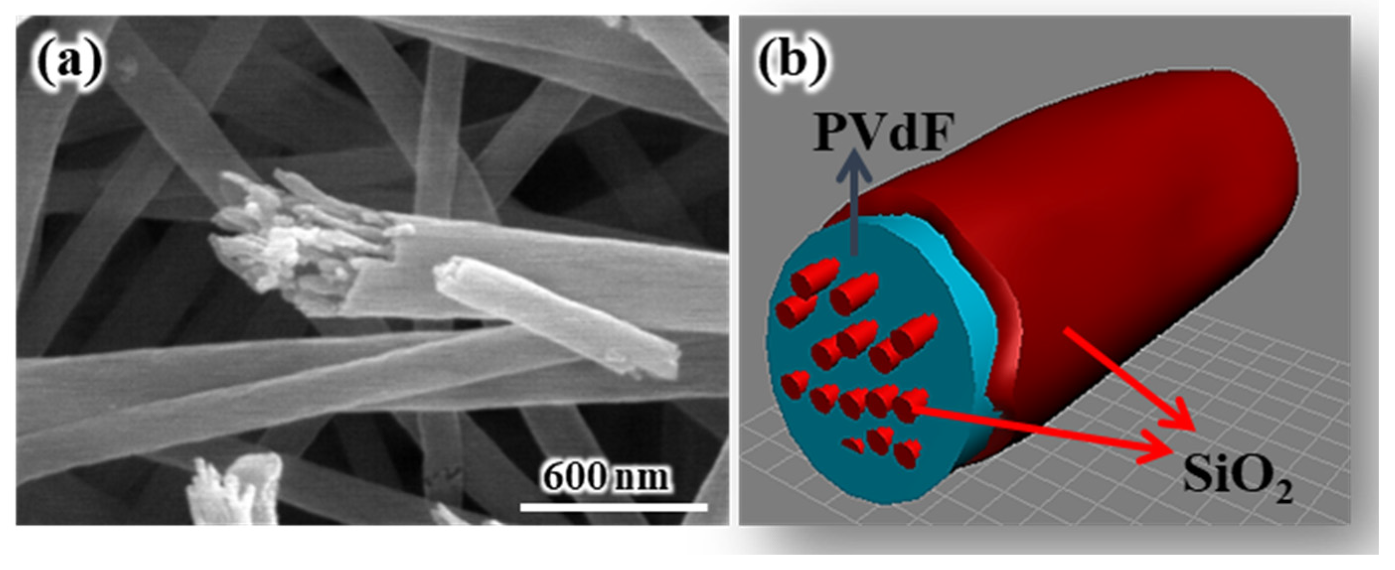 Polymers 16 01810 g004