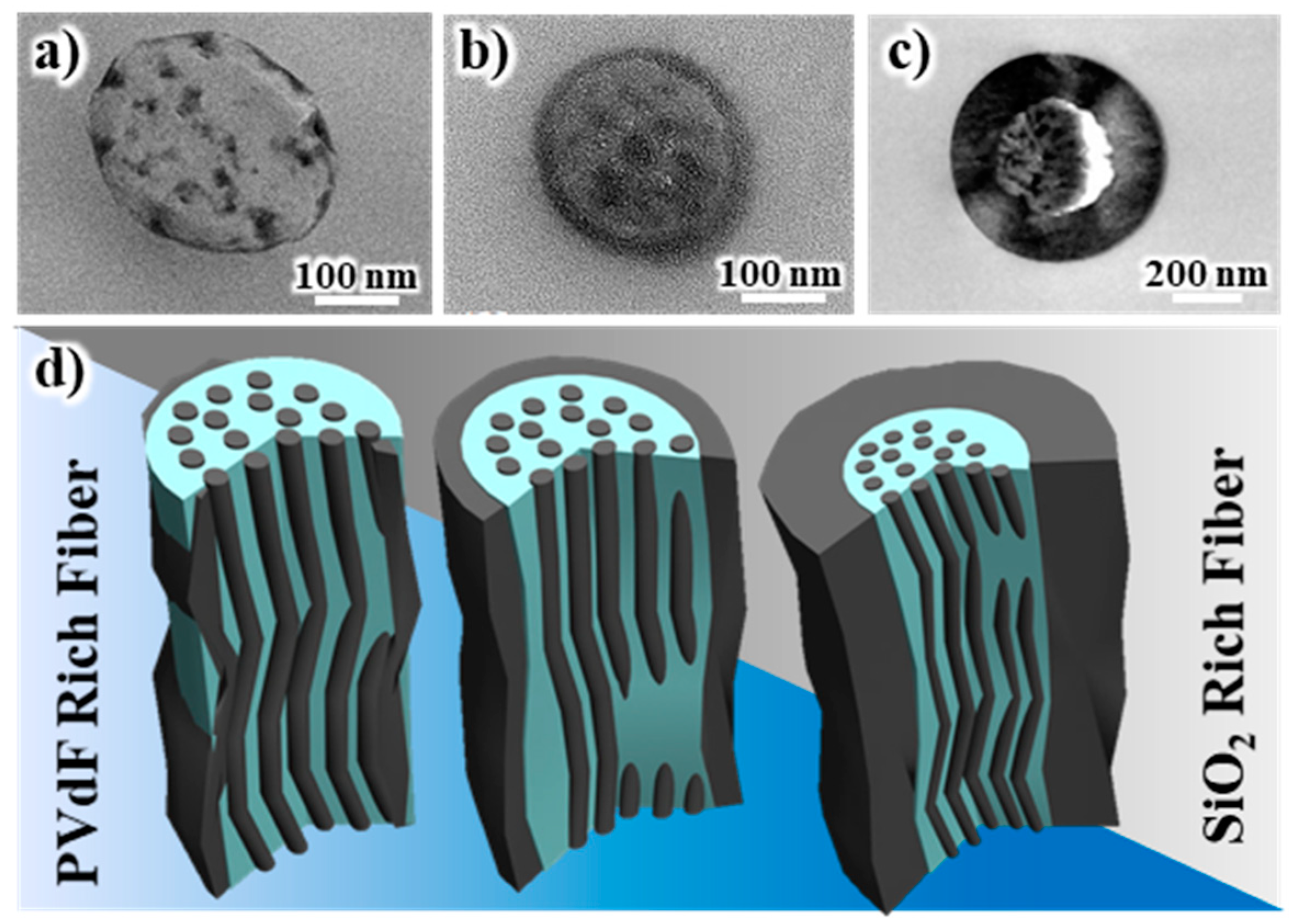 Polymers 16 01810 g005
