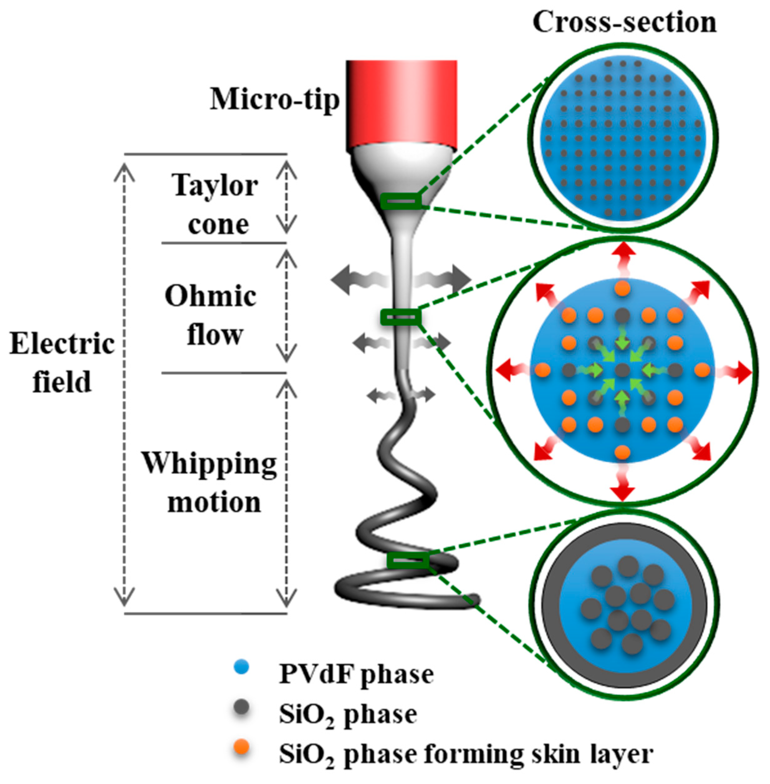 Polymers 16 01810 g006