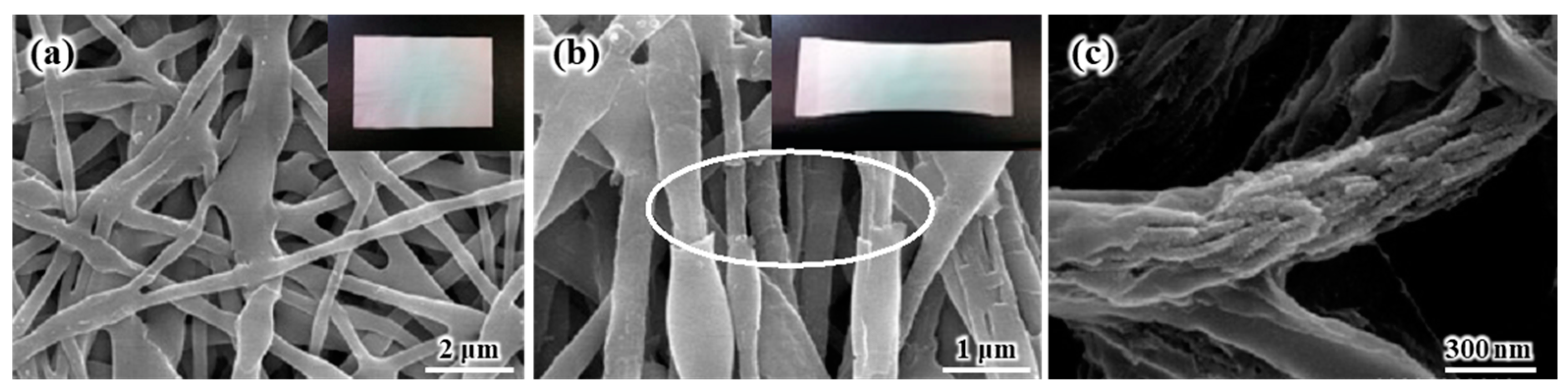 Polymers 16 01810 g008