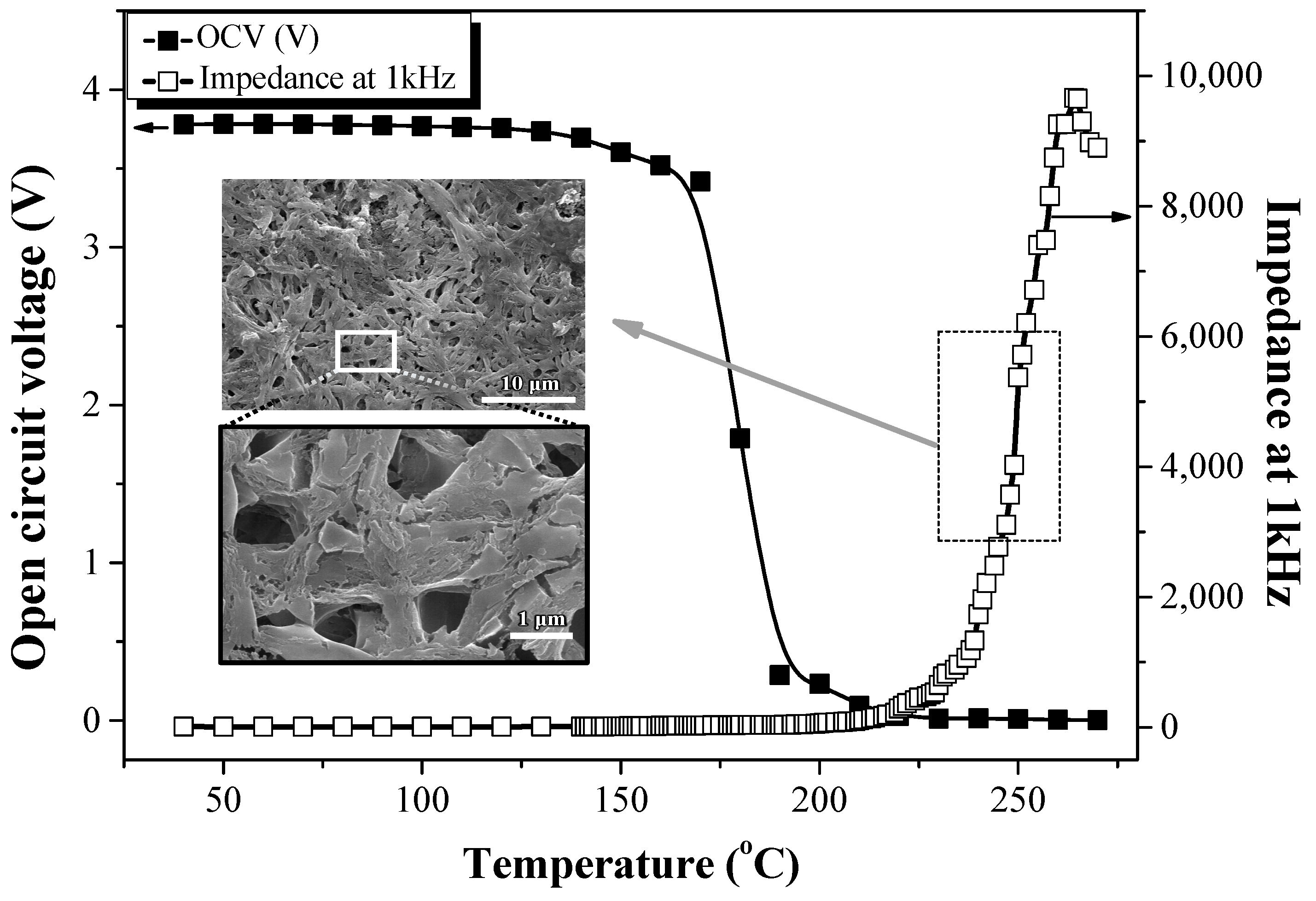 Polymers 16 01810 g010