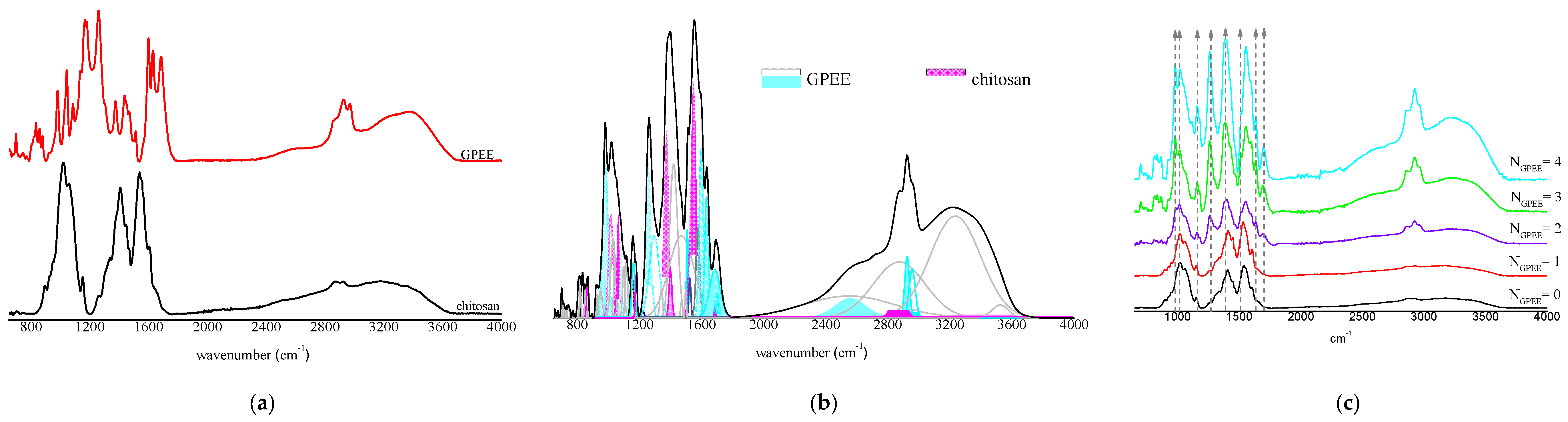 Polymers 16 01811 g004