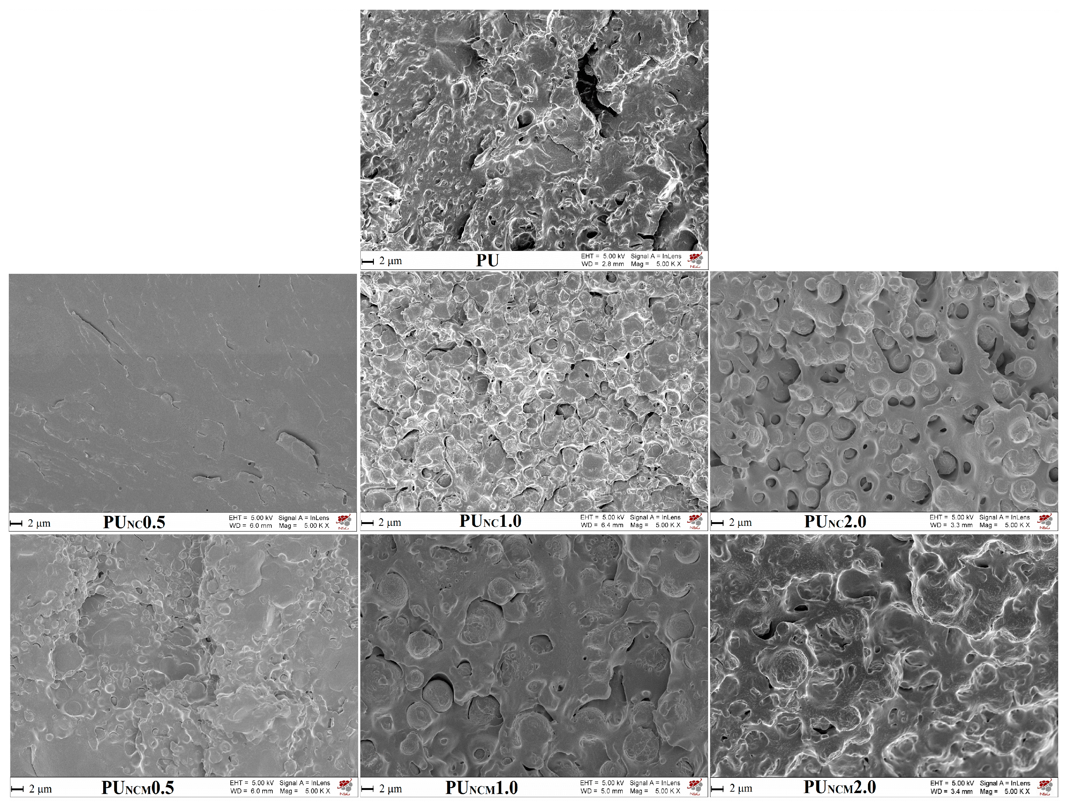 Polymers 16 01812 g004