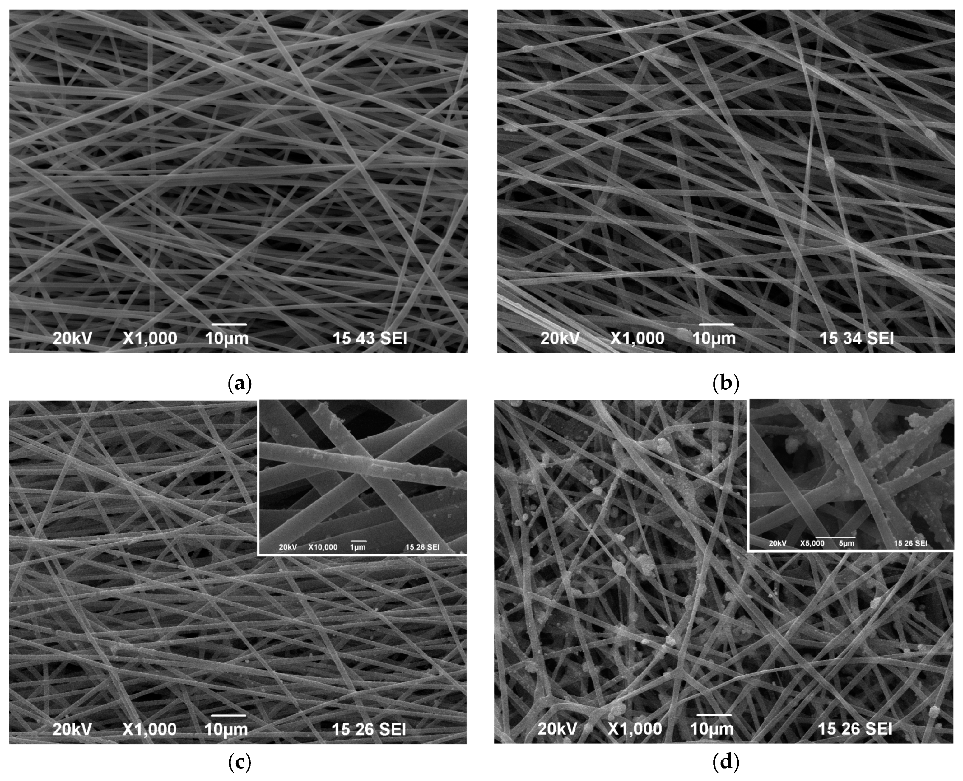 Polymers 16 01814 g001 Polymers 16 01814 g001