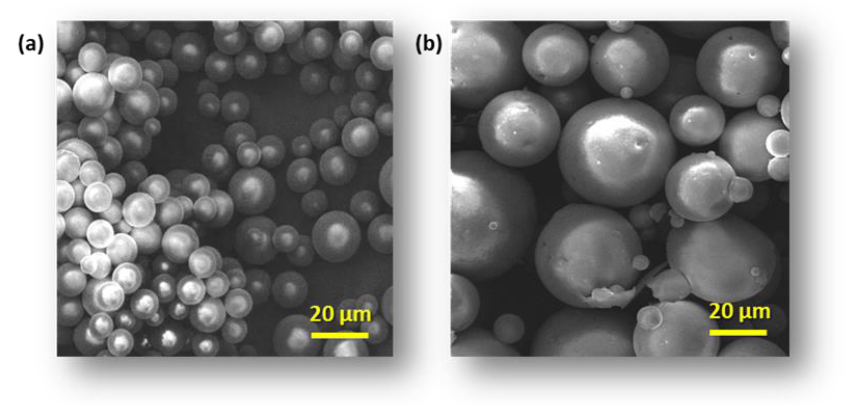 Polymers 16 01815 g001
