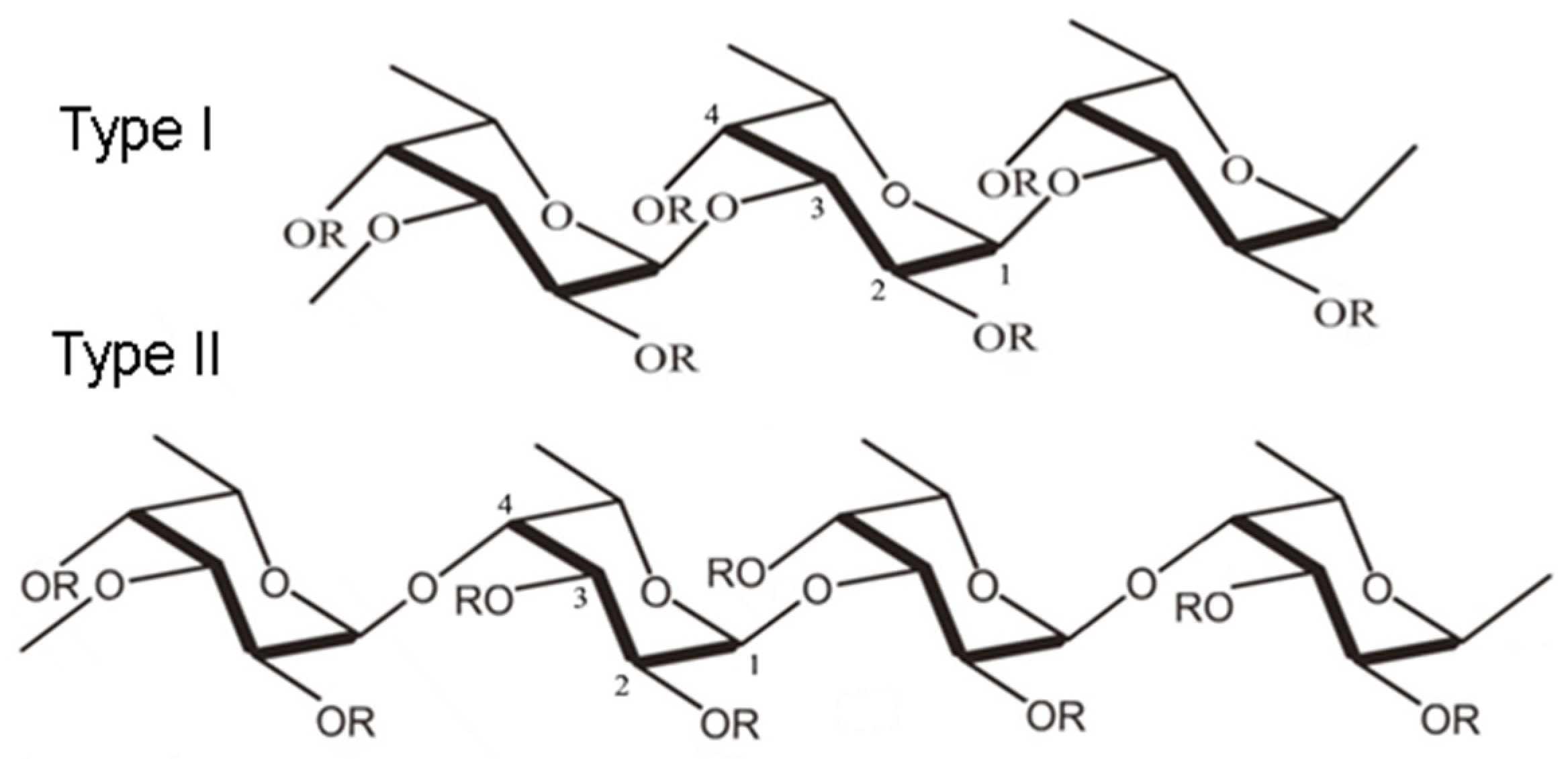 Polymers 16 01818 g001