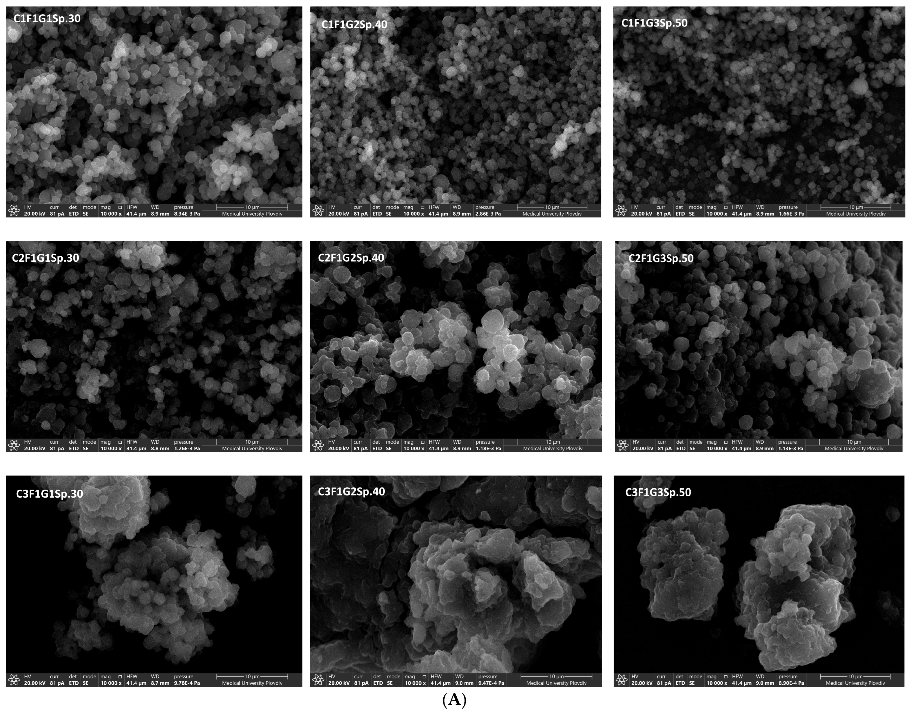 Polymers 16 01818 g008a