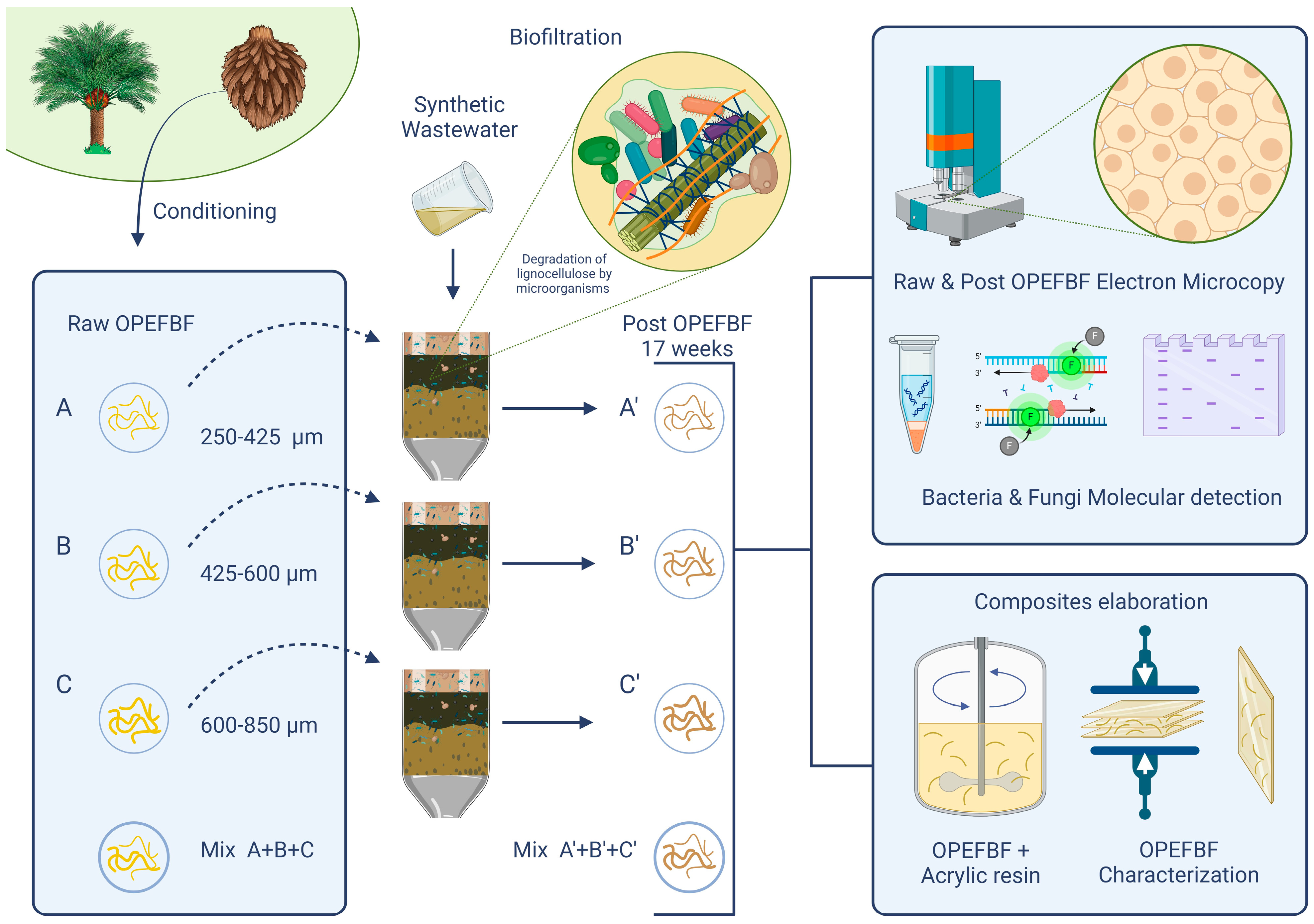 Polymers 16 01822 g003
