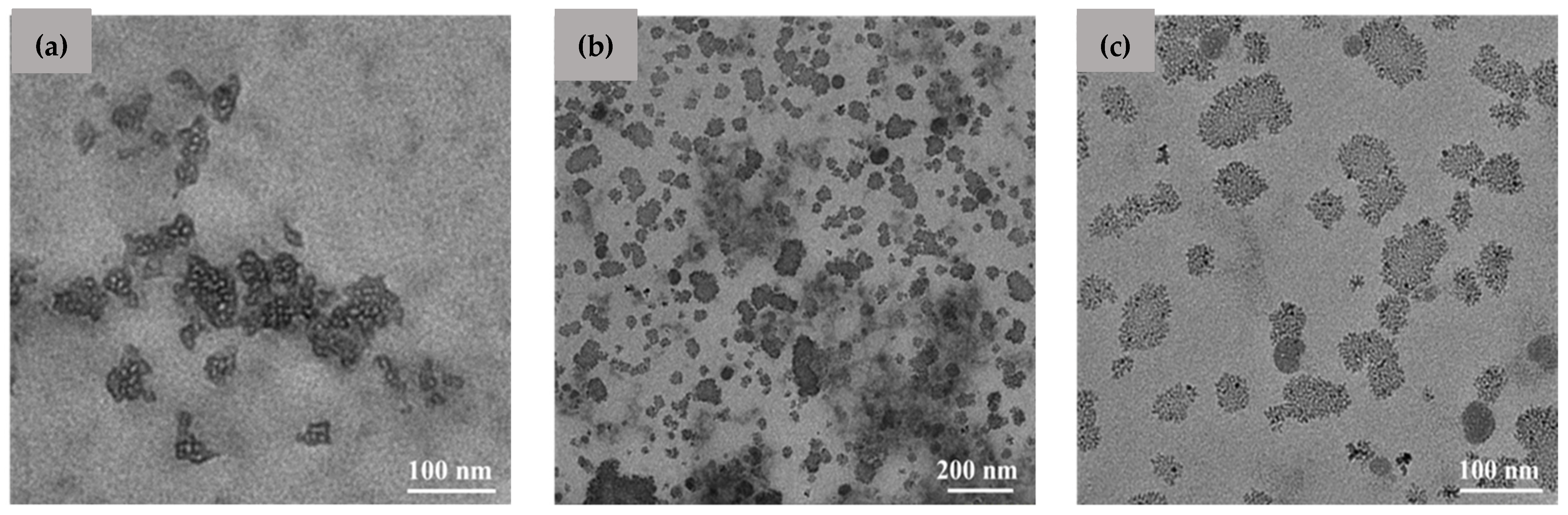 Polymers 16 01825 g001