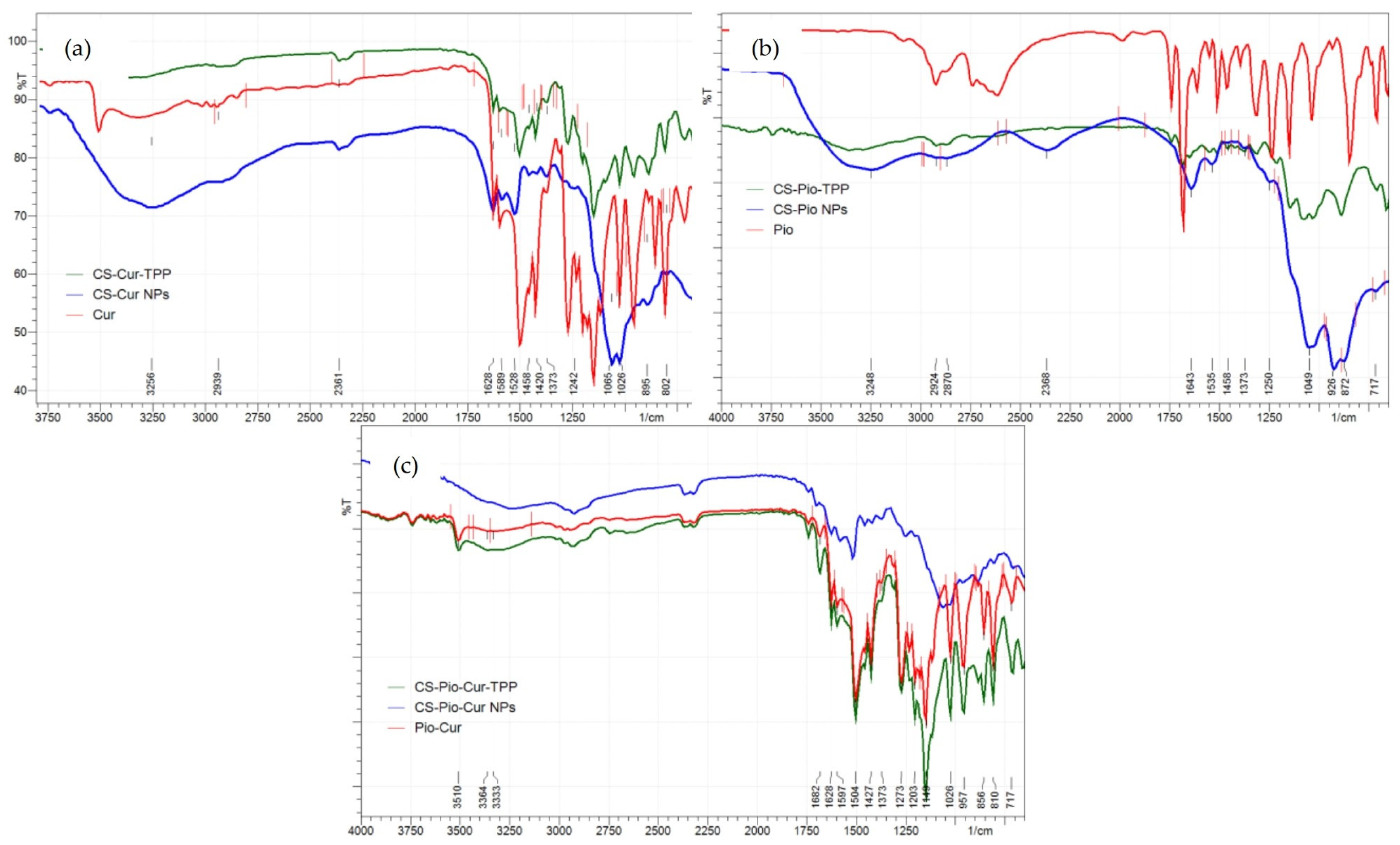 Polymers 16 01825 g003
