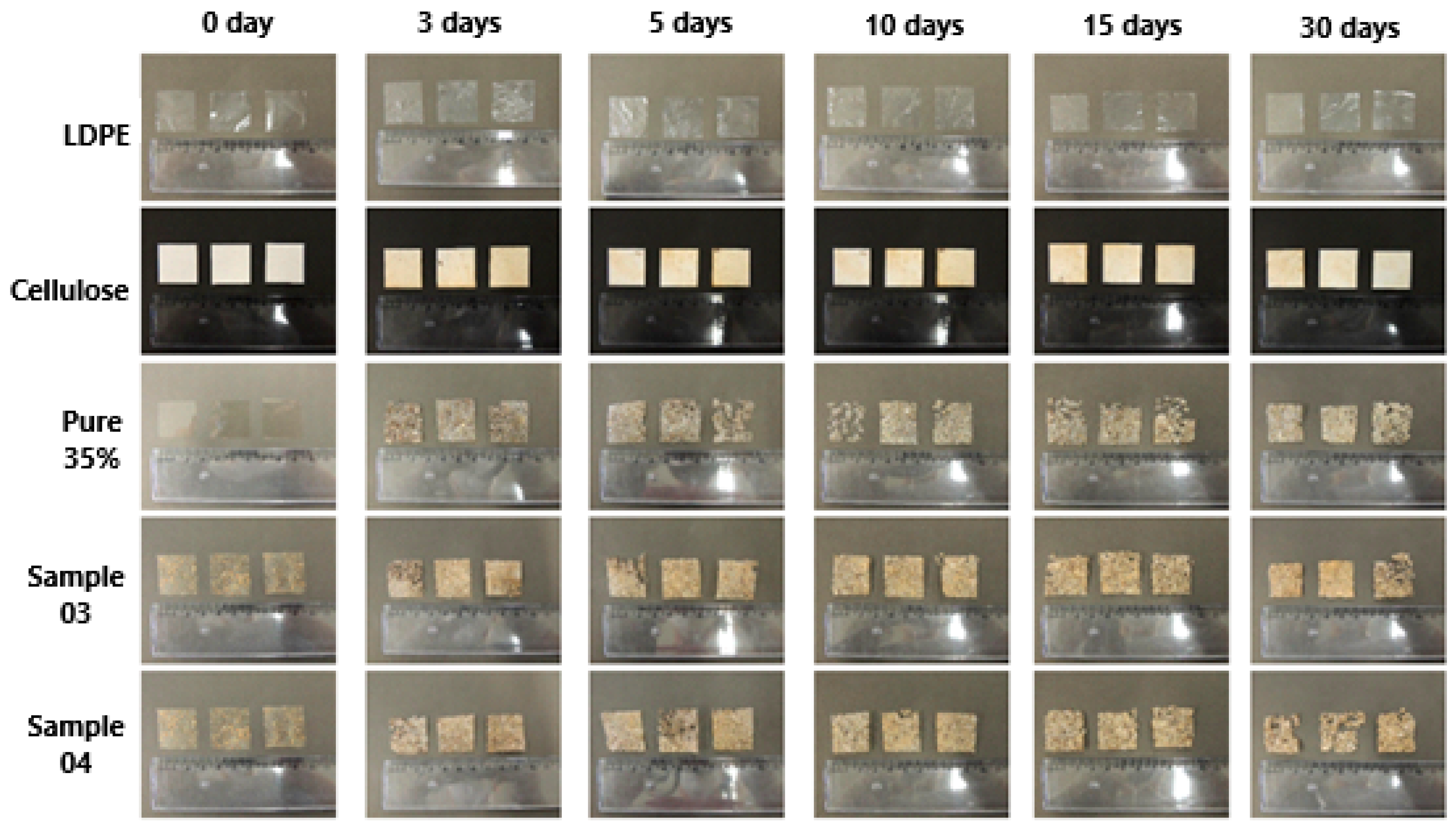 Polymers 16 01826 g002