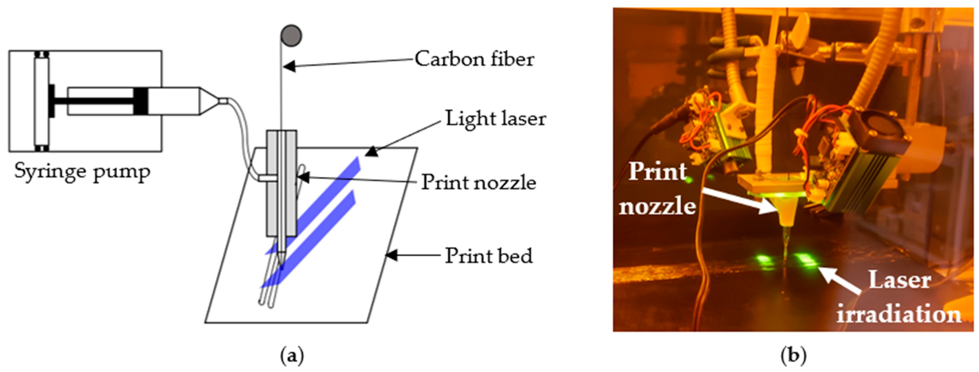 Polymers 16 01828 g001