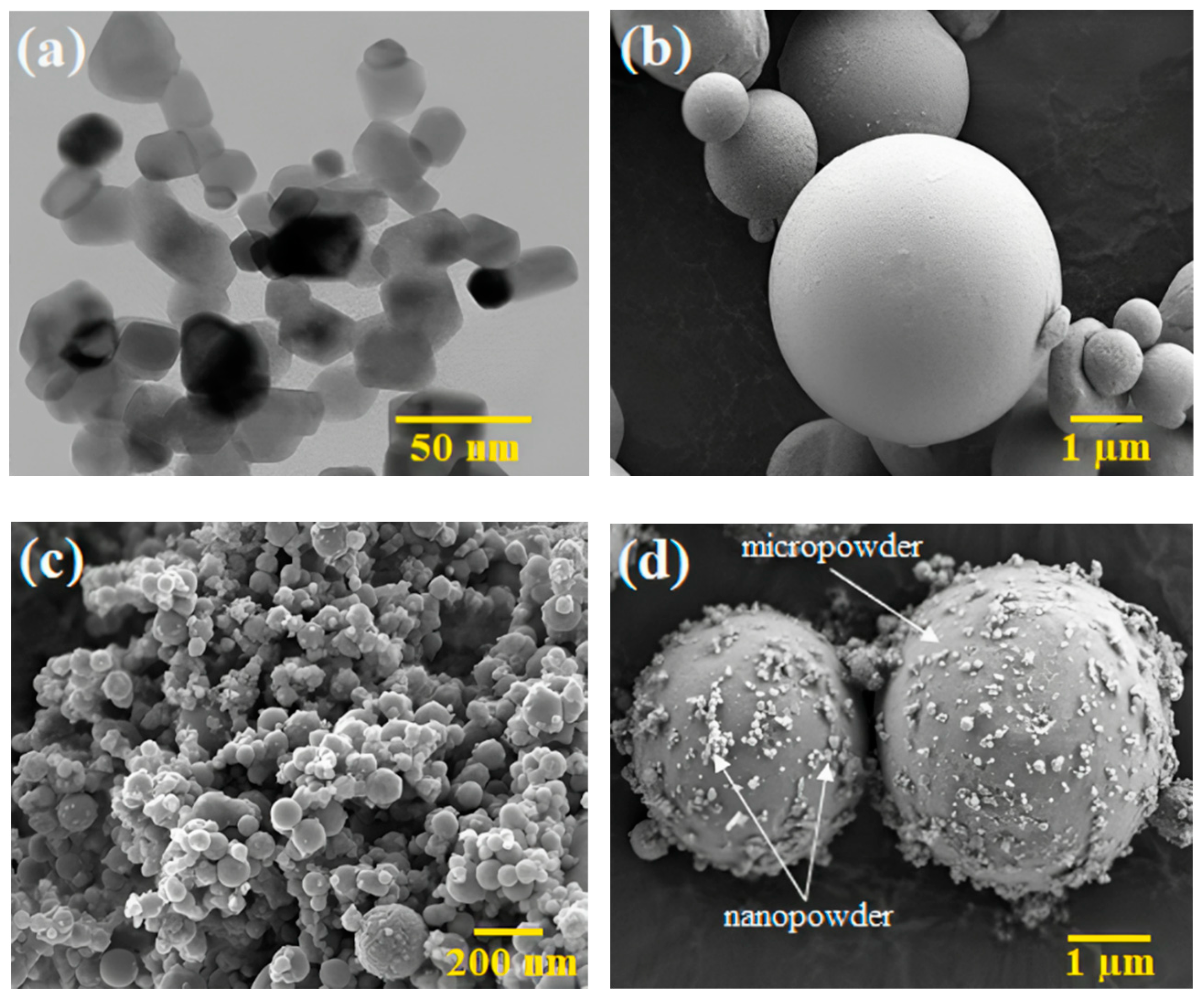 Polymers 16 01831 g001 Polymers 16 01831 g001