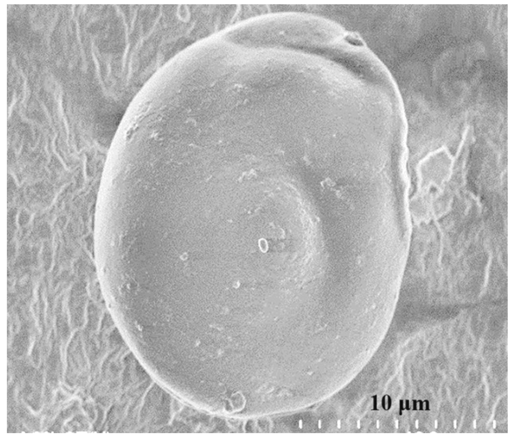 Polymers 16 01836 g002 Polymers 16 01836 g002