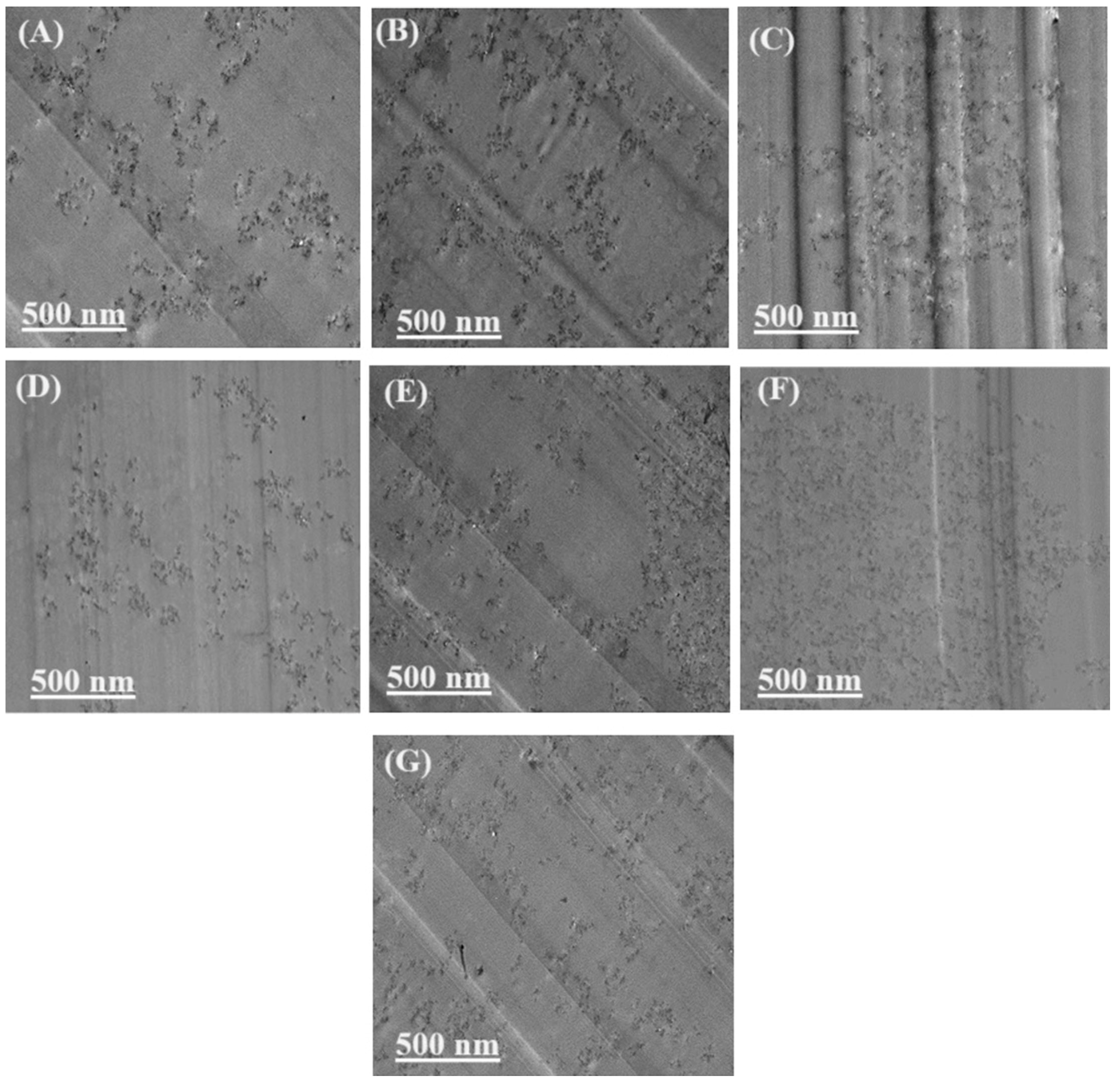 Polymers 16 01836 g004 Polymers 16 01836 g004
