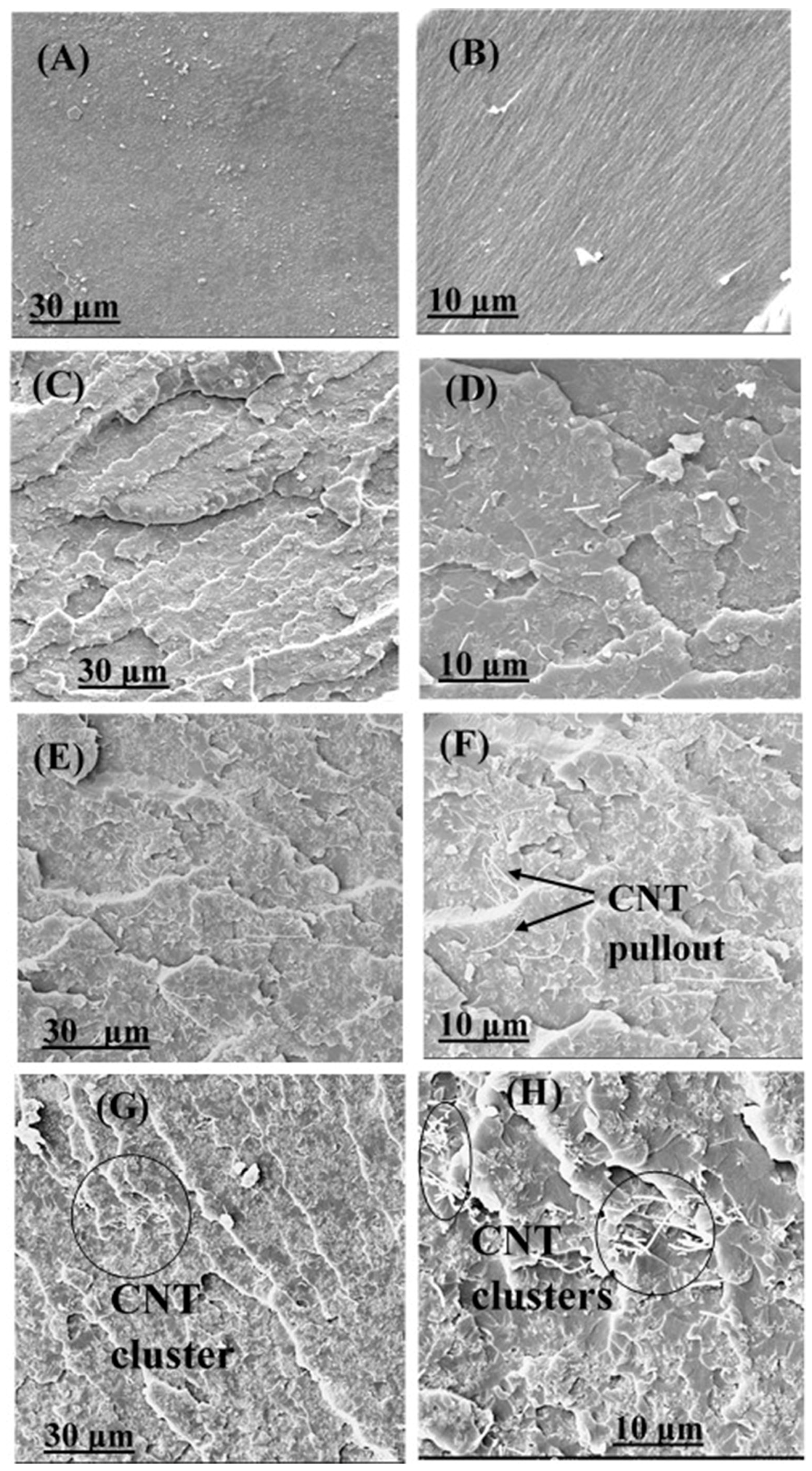 Polymers 16 01836 g006 Polymers 16 01836 g006