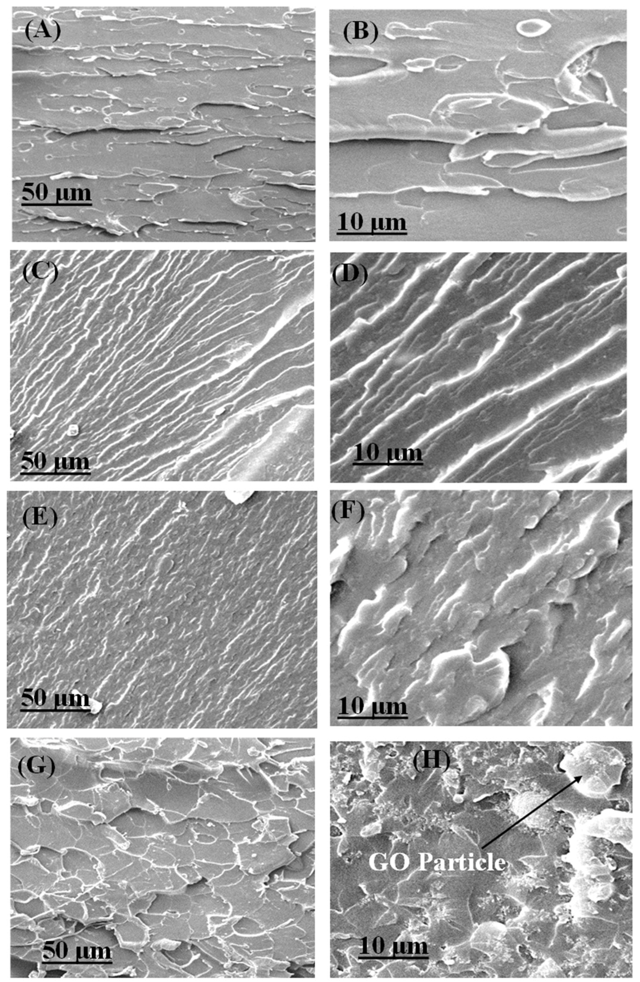Polymers 16 01836 g007 Polymers 16 01836 g007