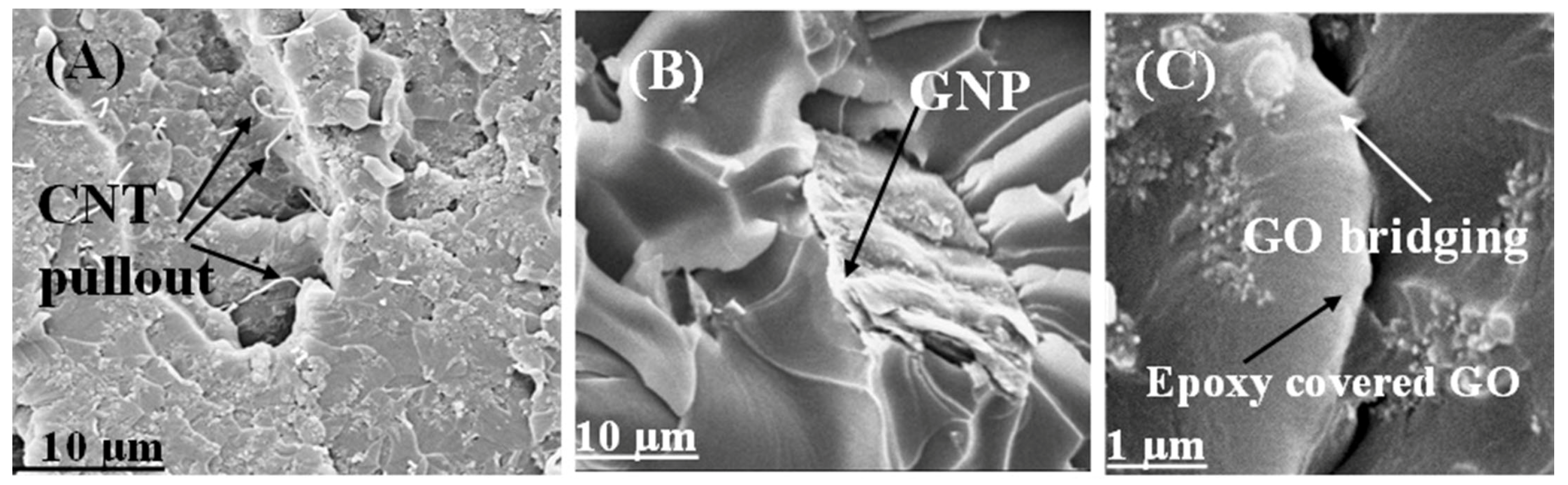 Polymers 16 01836 g008 Polymers 16 01836 g008
