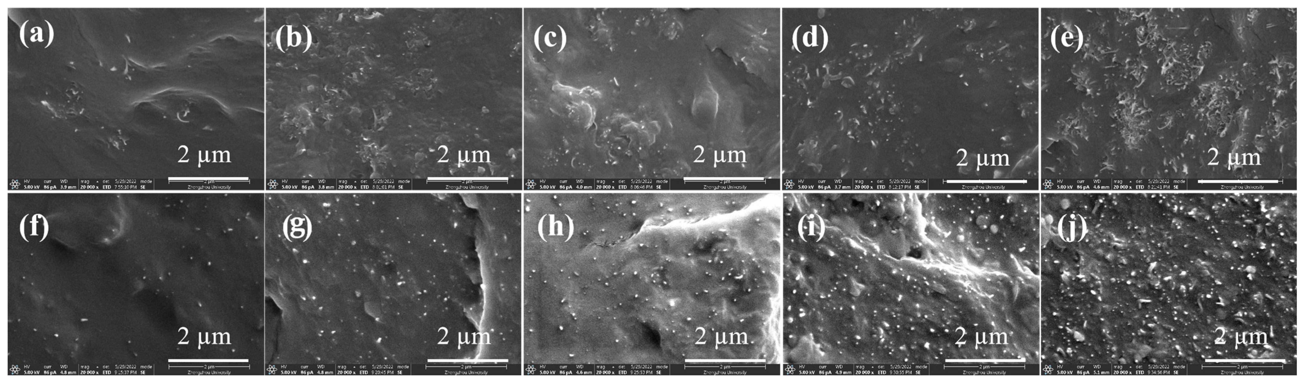 Polymers 16 01837 g002