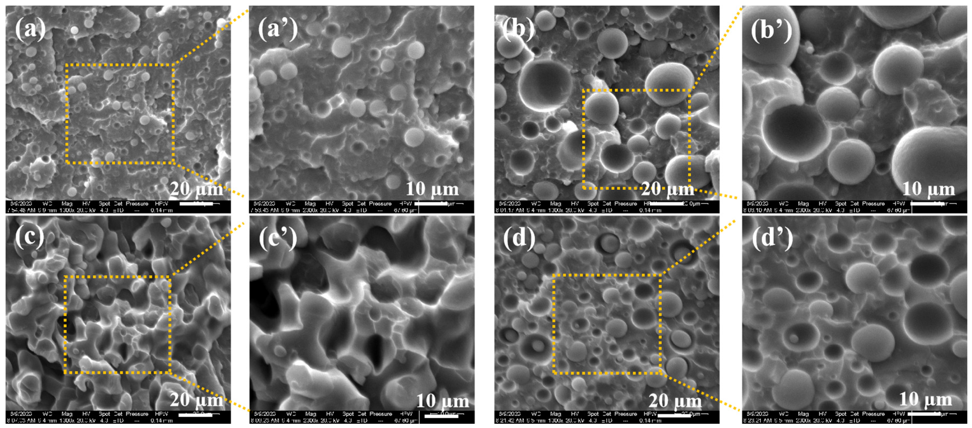 Polymers 16 01837 g004