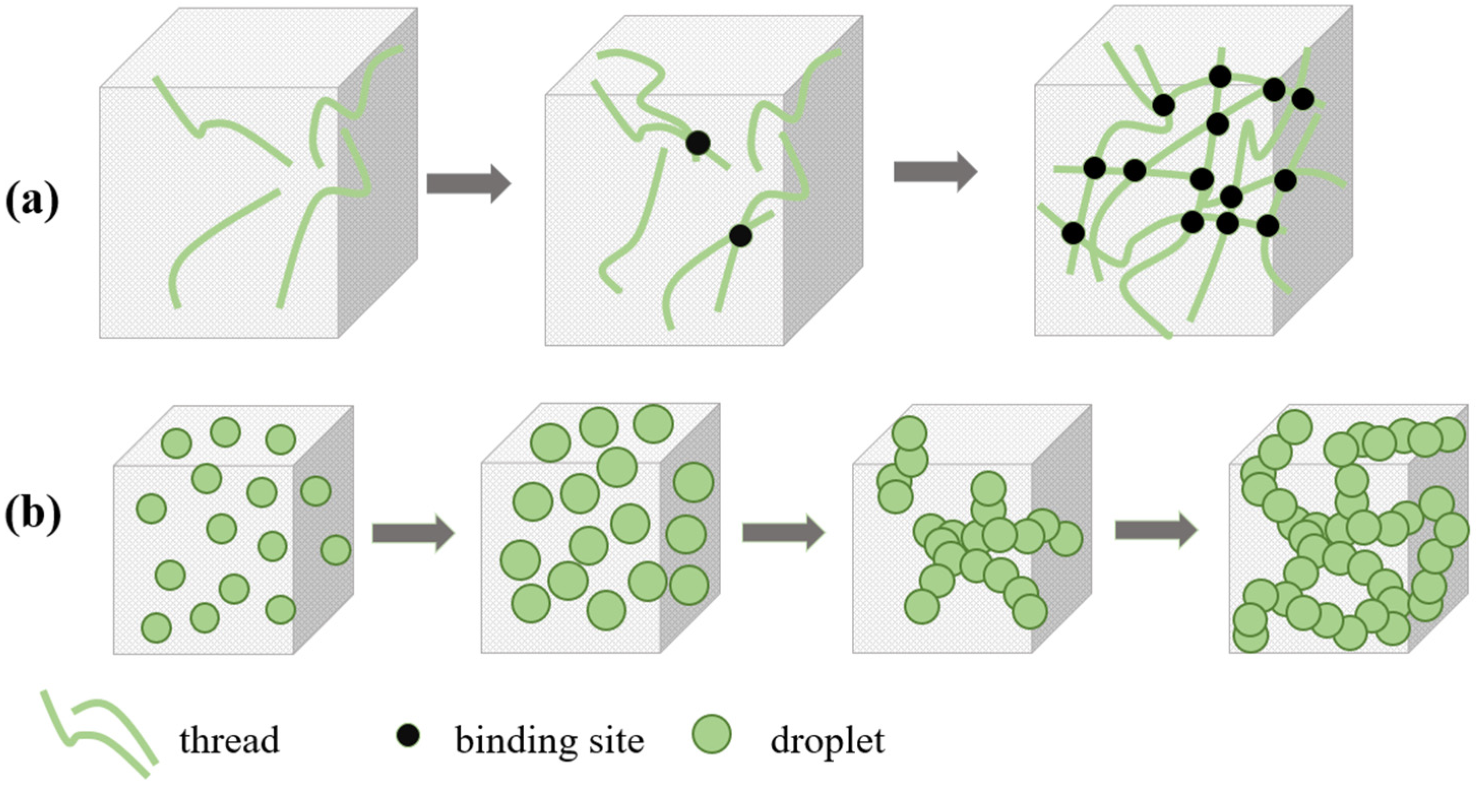 Polymers 16 01837 g005