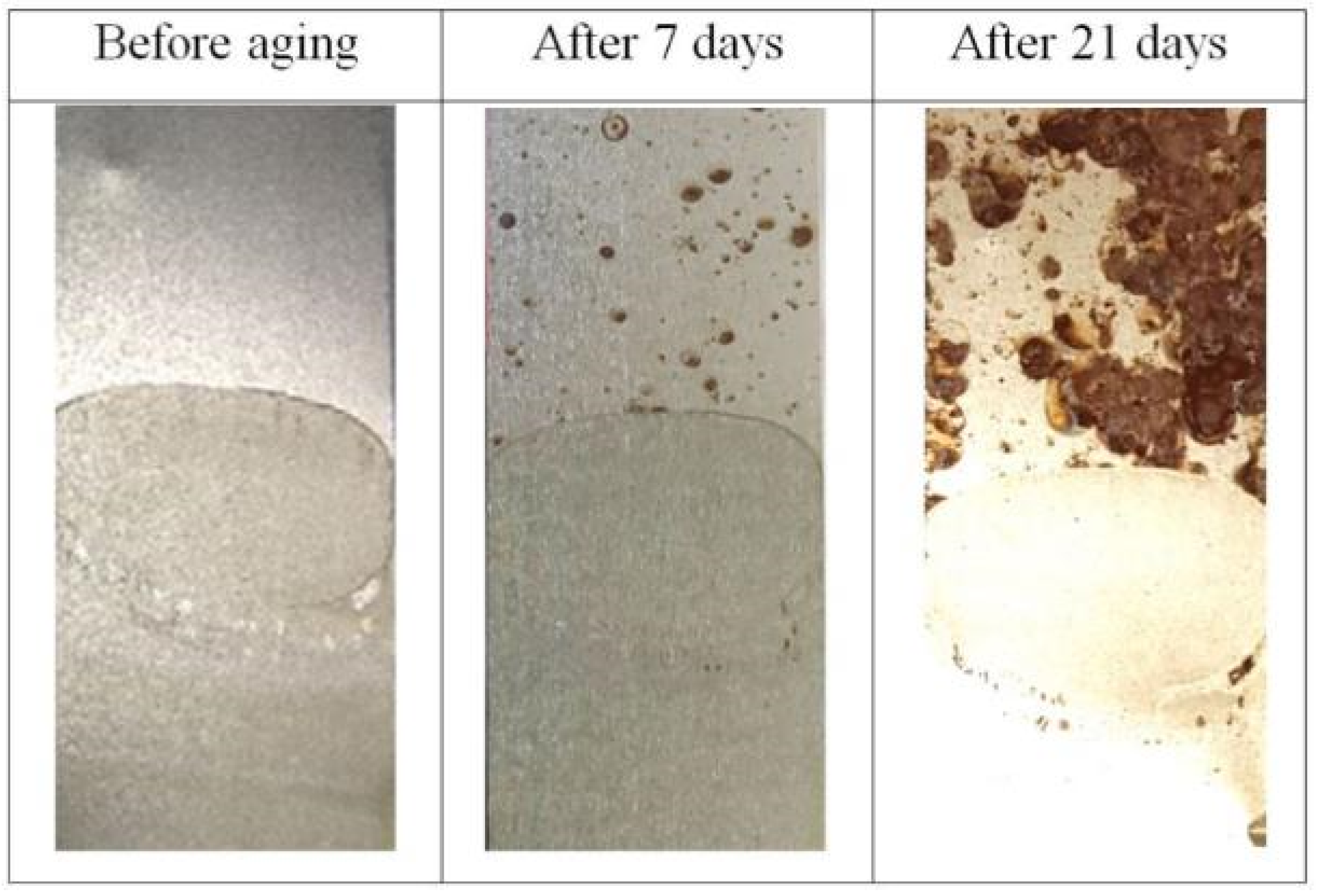 Polymers 16 01840 g007