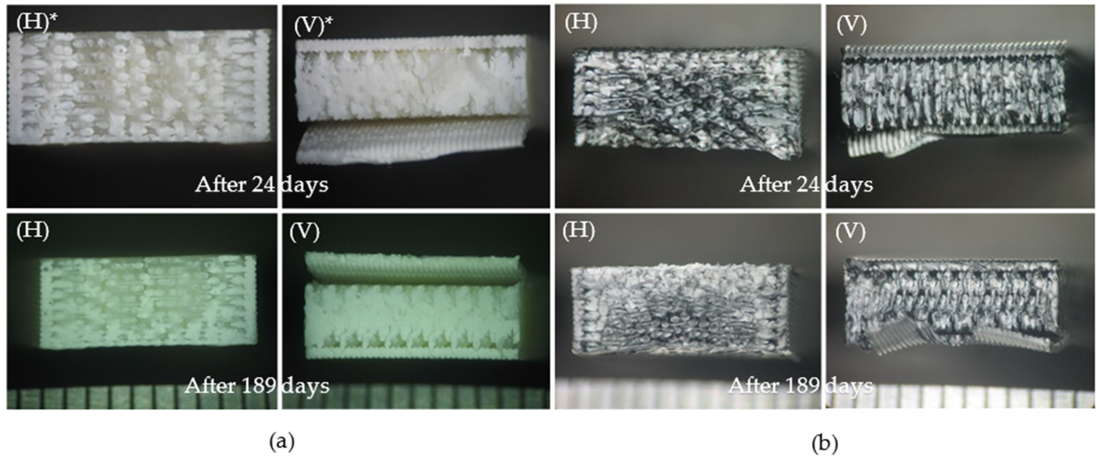 Polymers 16 01843 g006a