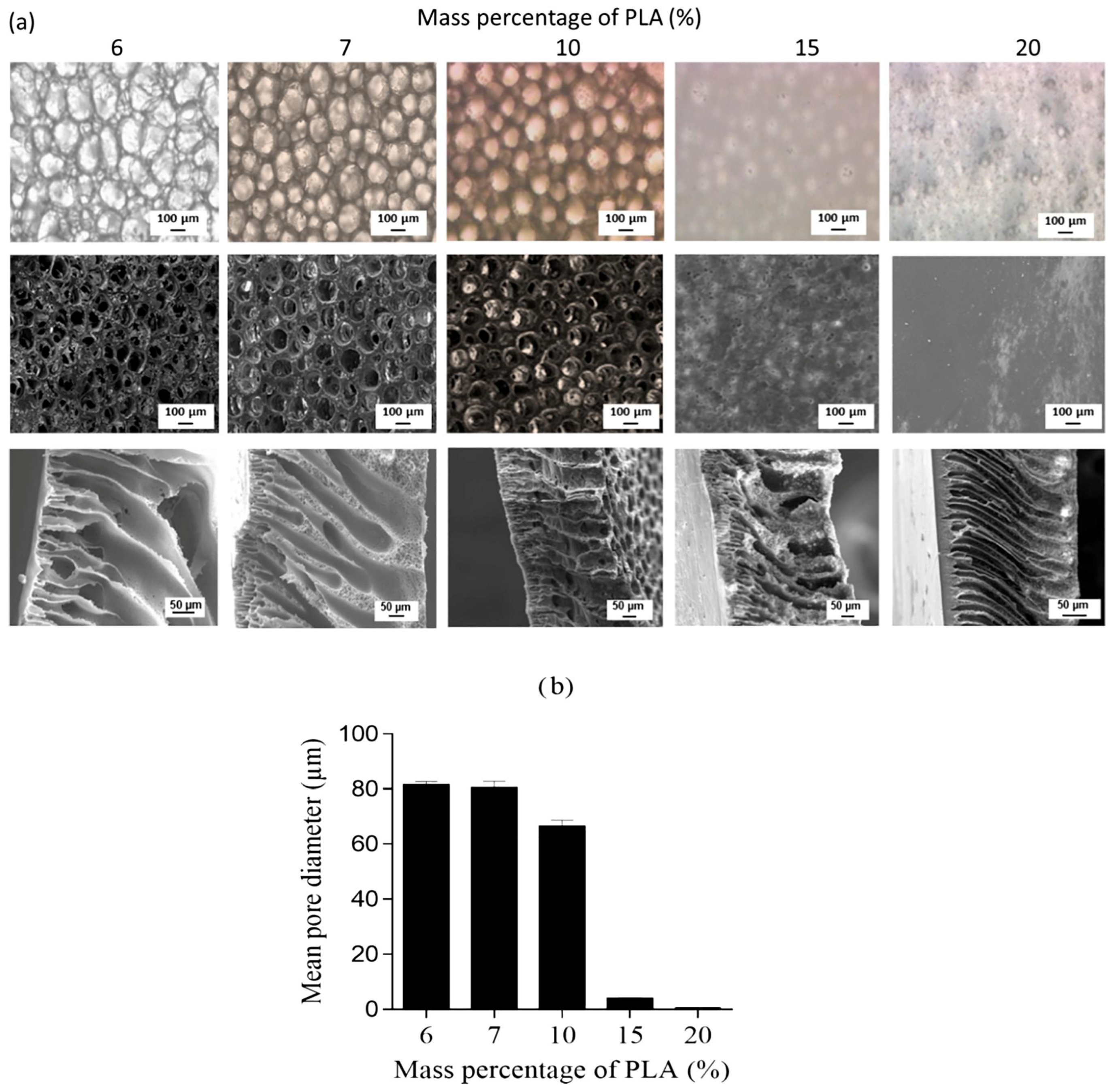 Polymers 16 01846 g011