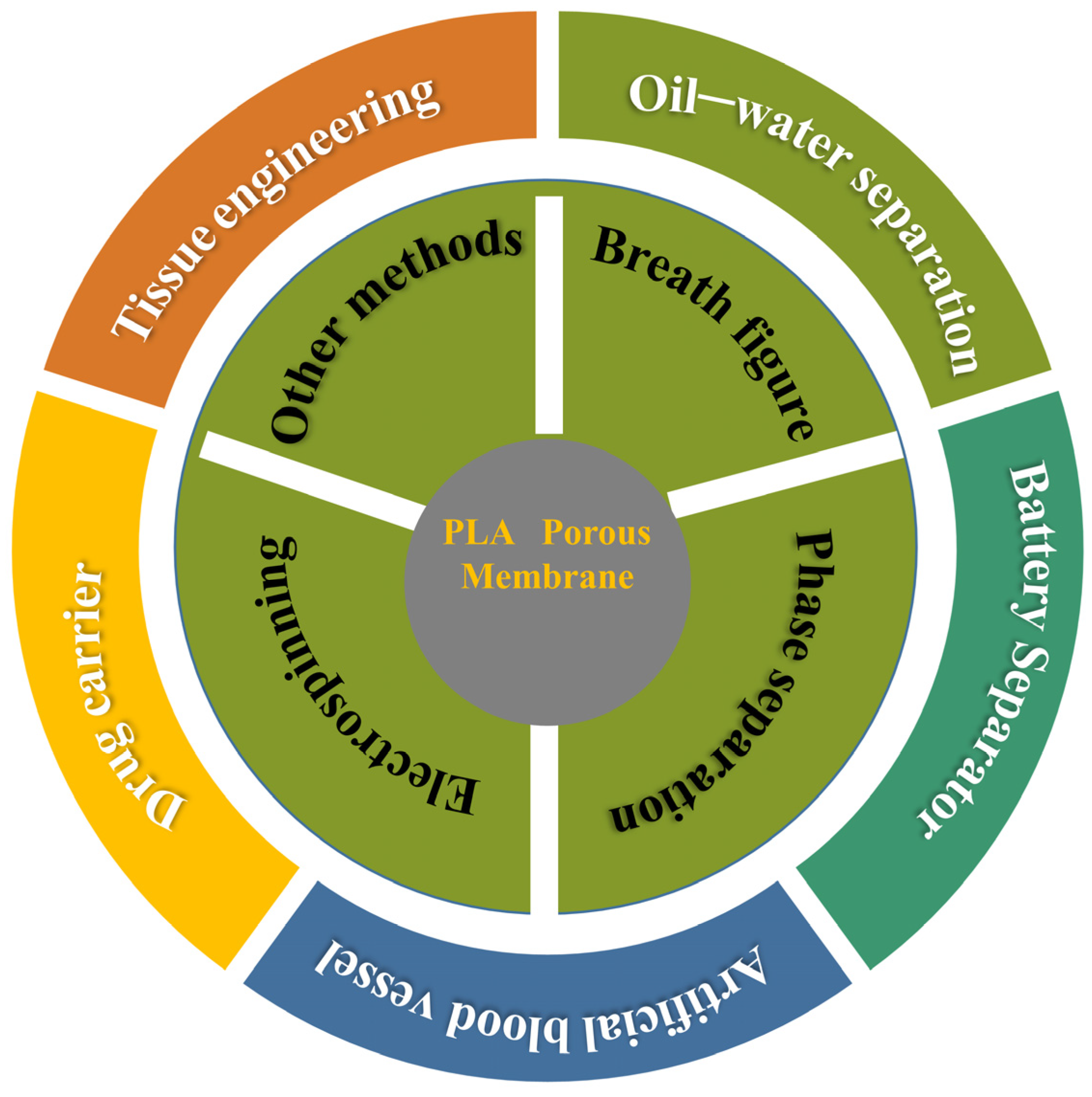 Polymers 16 01846 g012