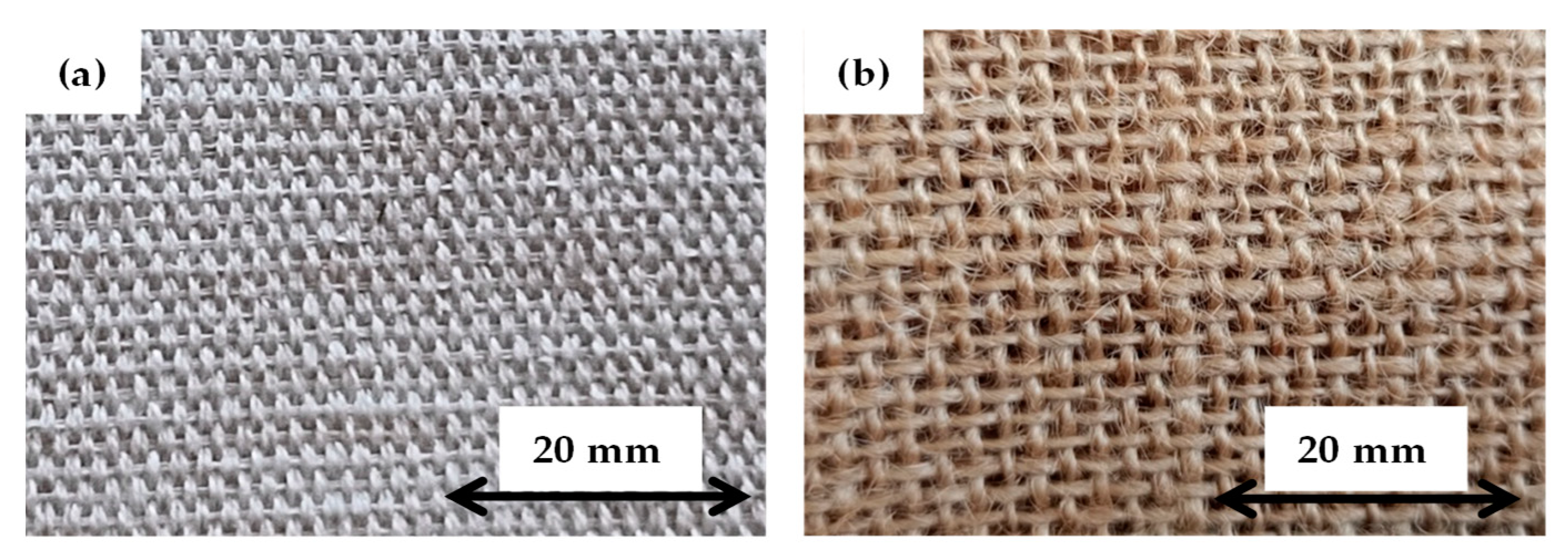 Polymers 16 01847 g001