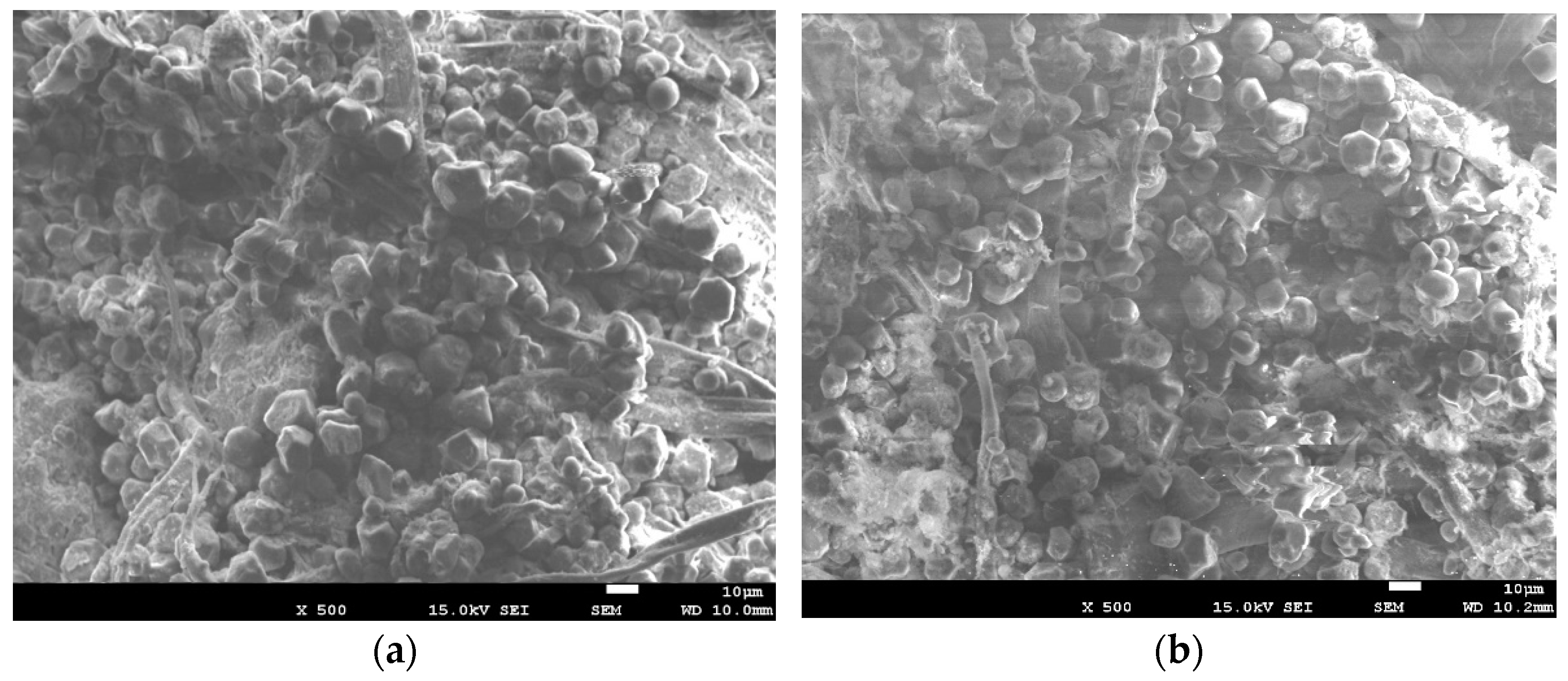 Polymers 16 01848 g006