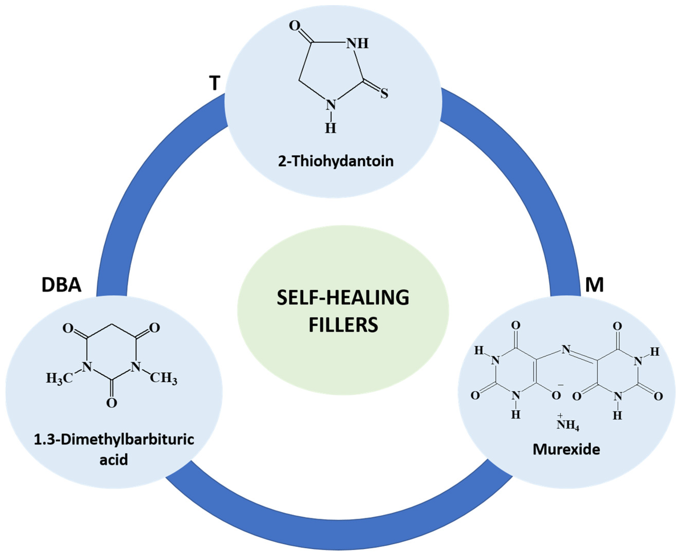 Polymers 16 01849 g002