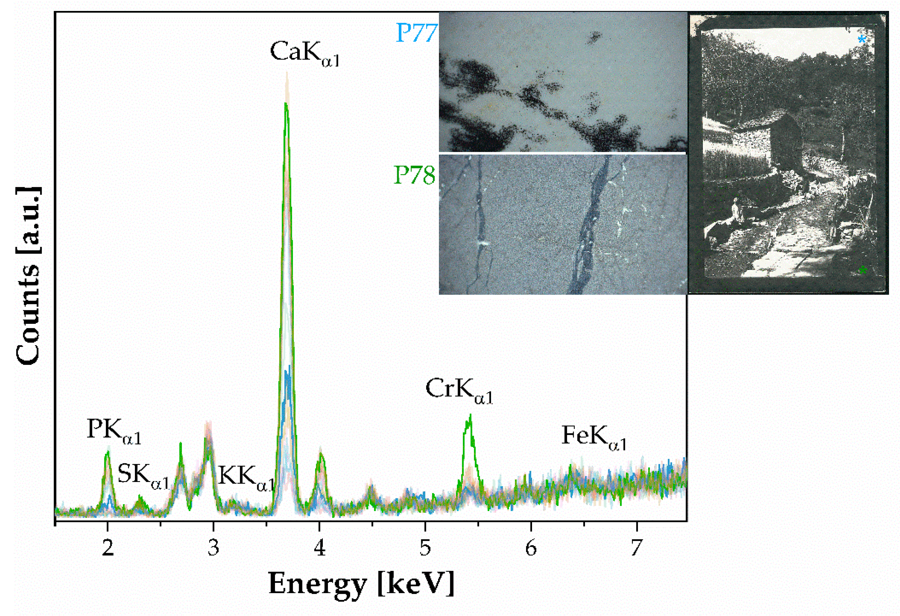 Polymers 16 01850 g007 Polymers 16 01850 g007