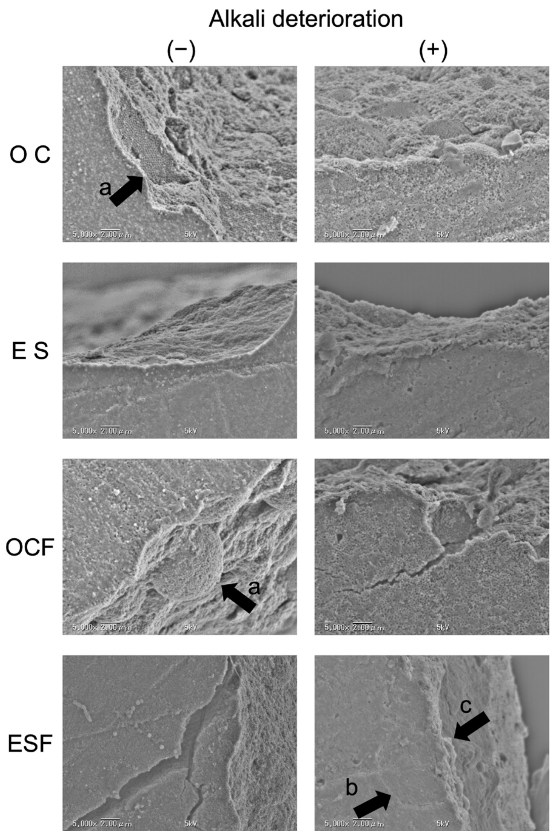 Polymers 16 01853 g002