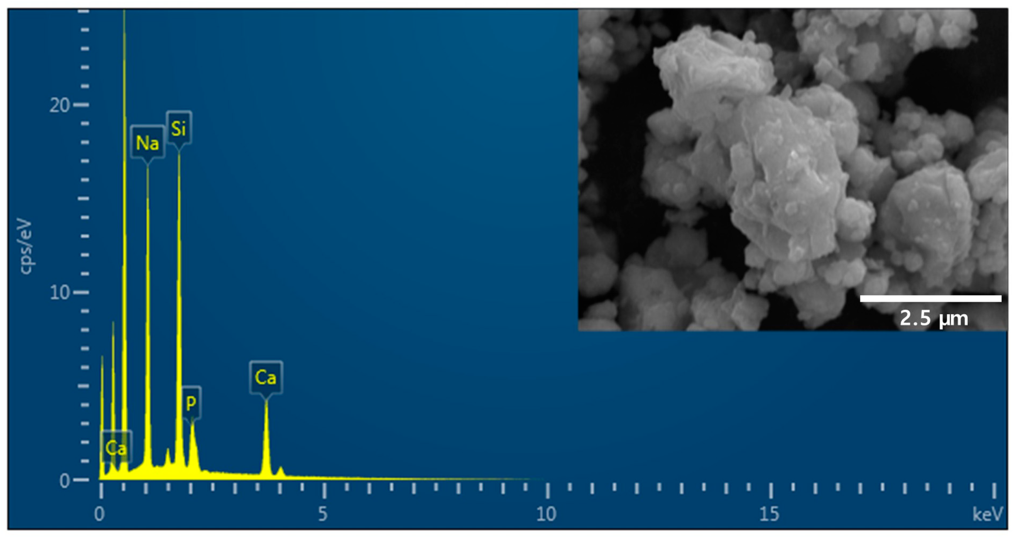 Polymers 16 01855 g001