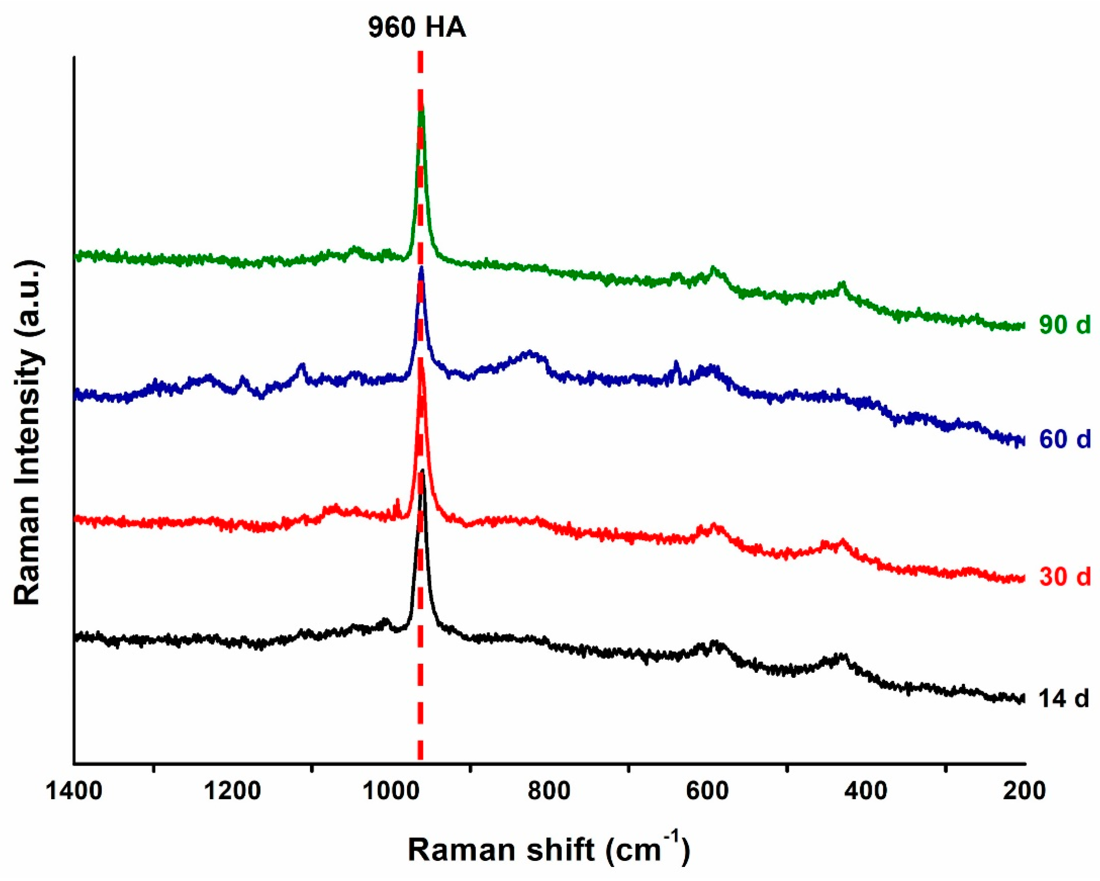 Polymers 16 01855 g004