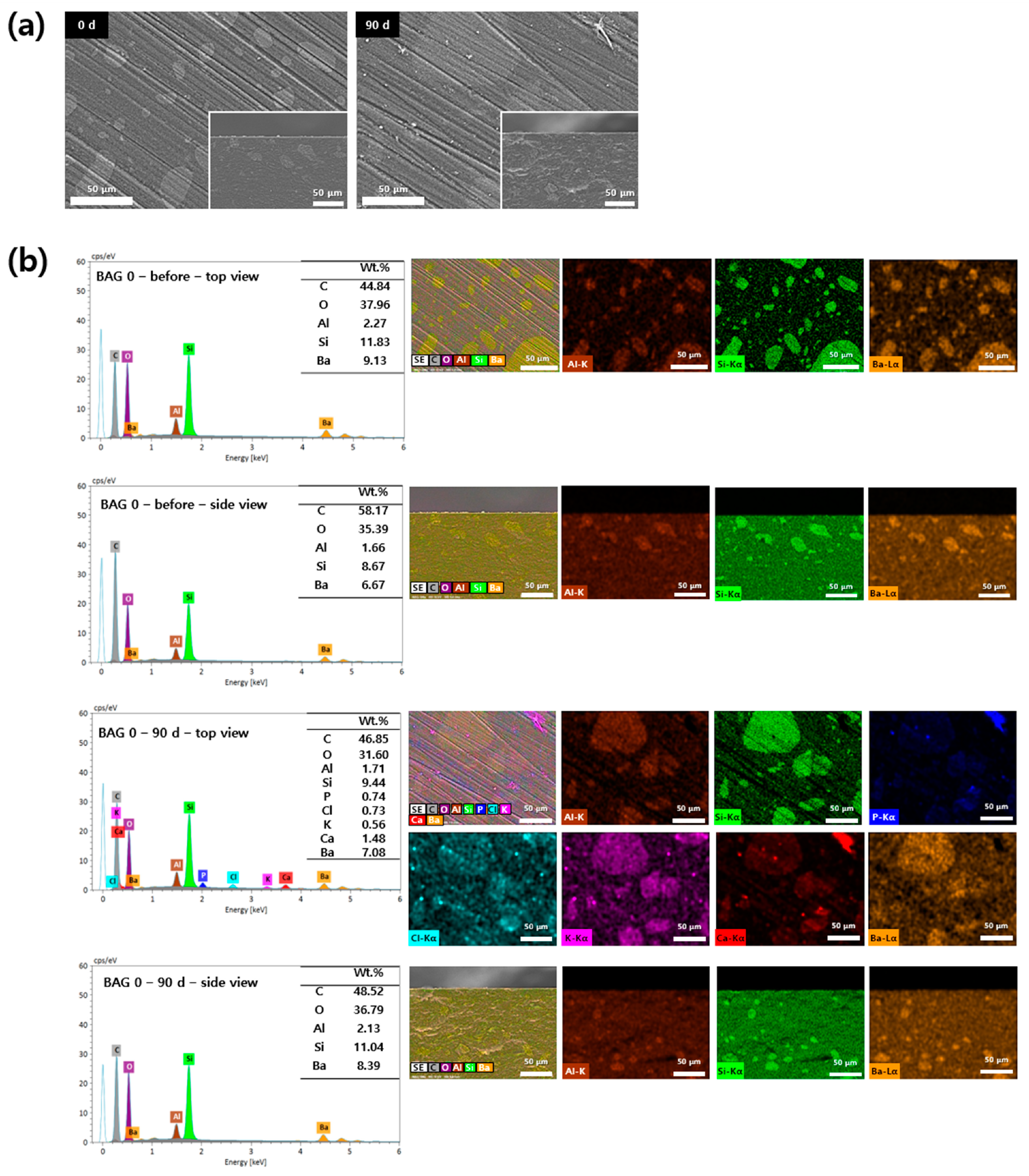 Polymers 16 01855 g005