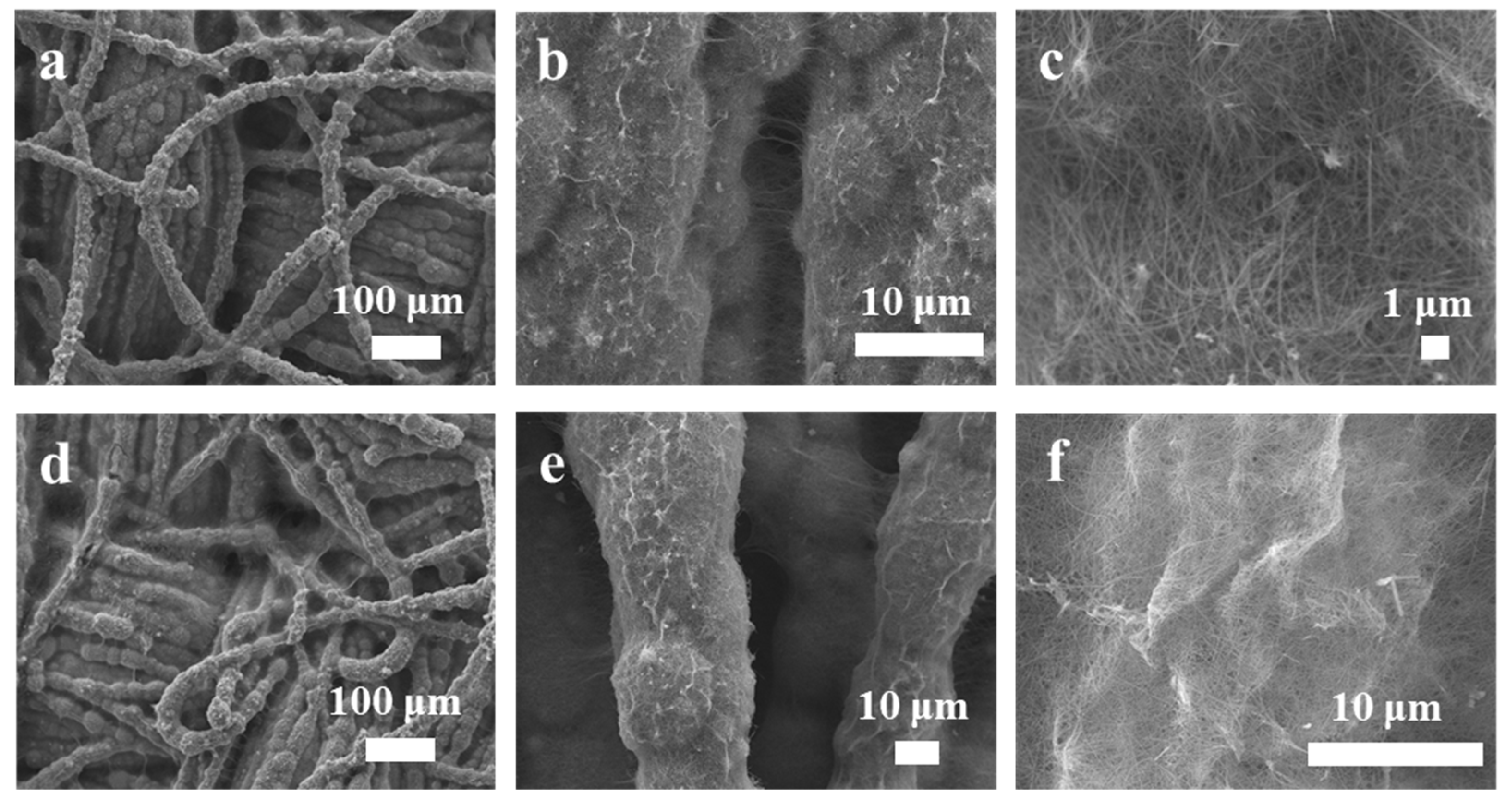 Polymers 16 01856 g002
