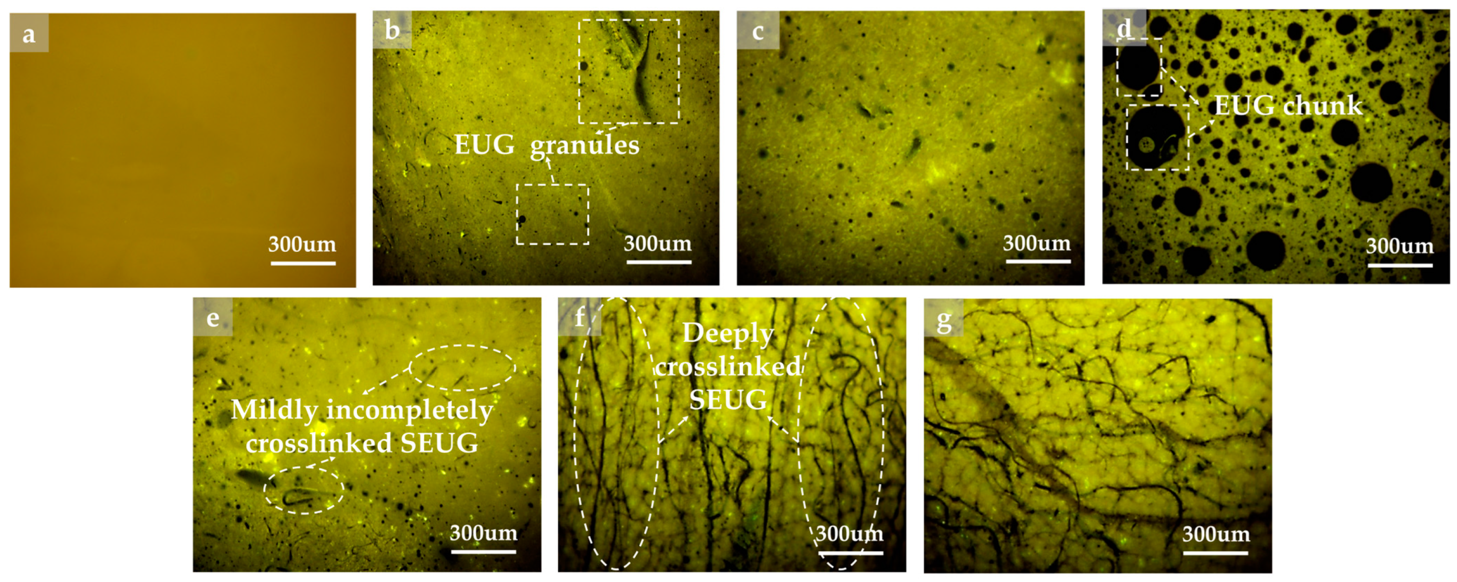 Polymers 16 01860 g016