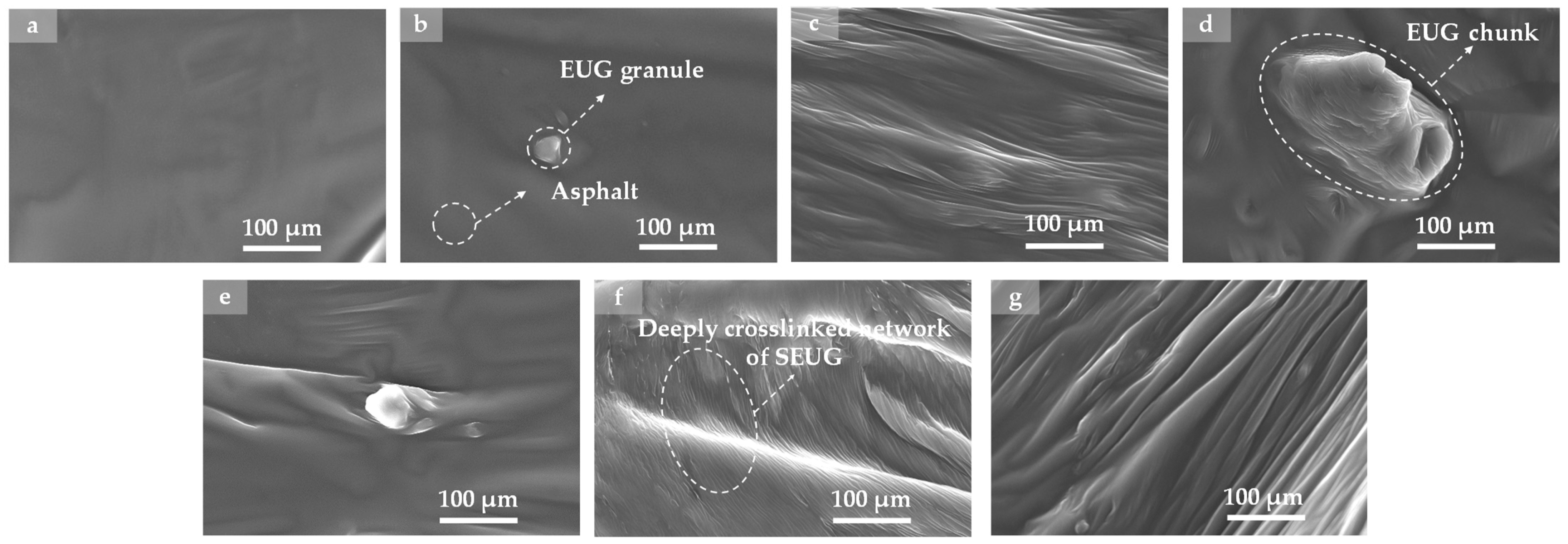 Polymers 16 01860 g017