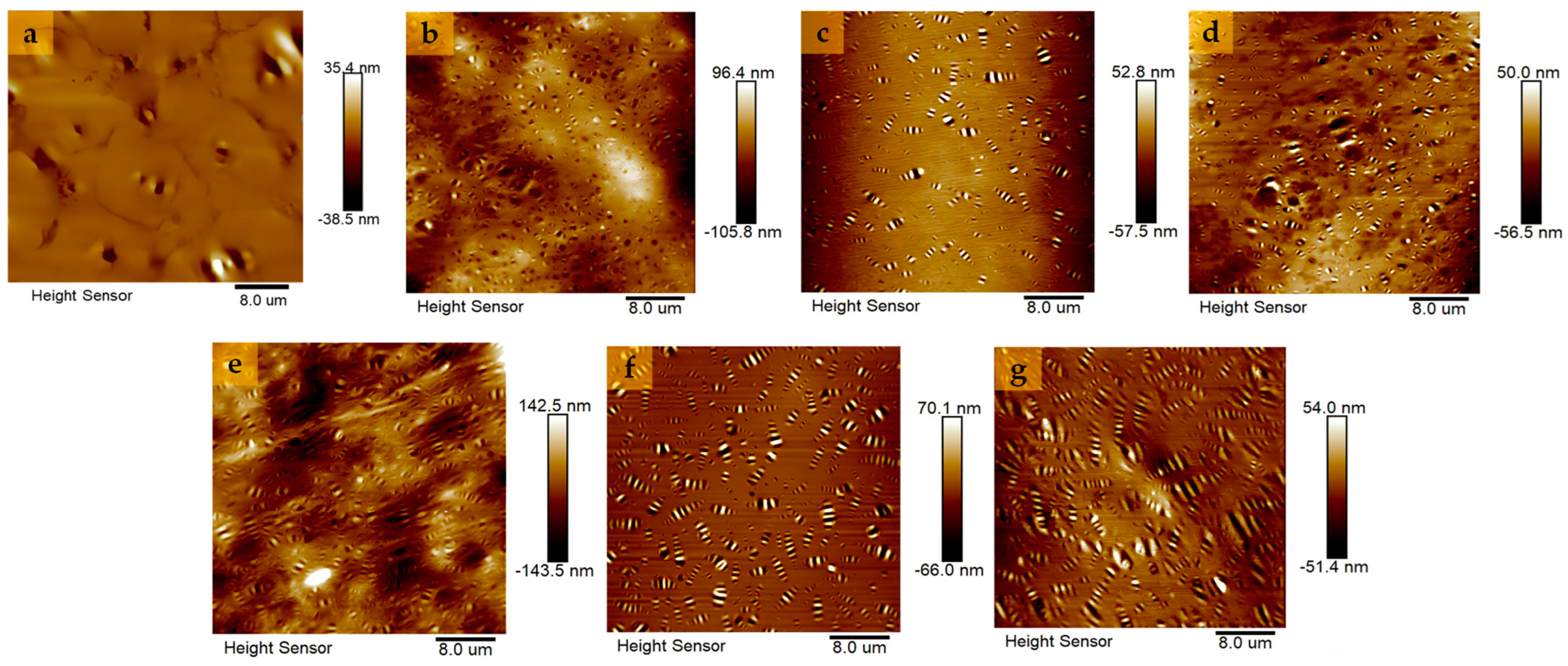 Polymers 16 01860 g018