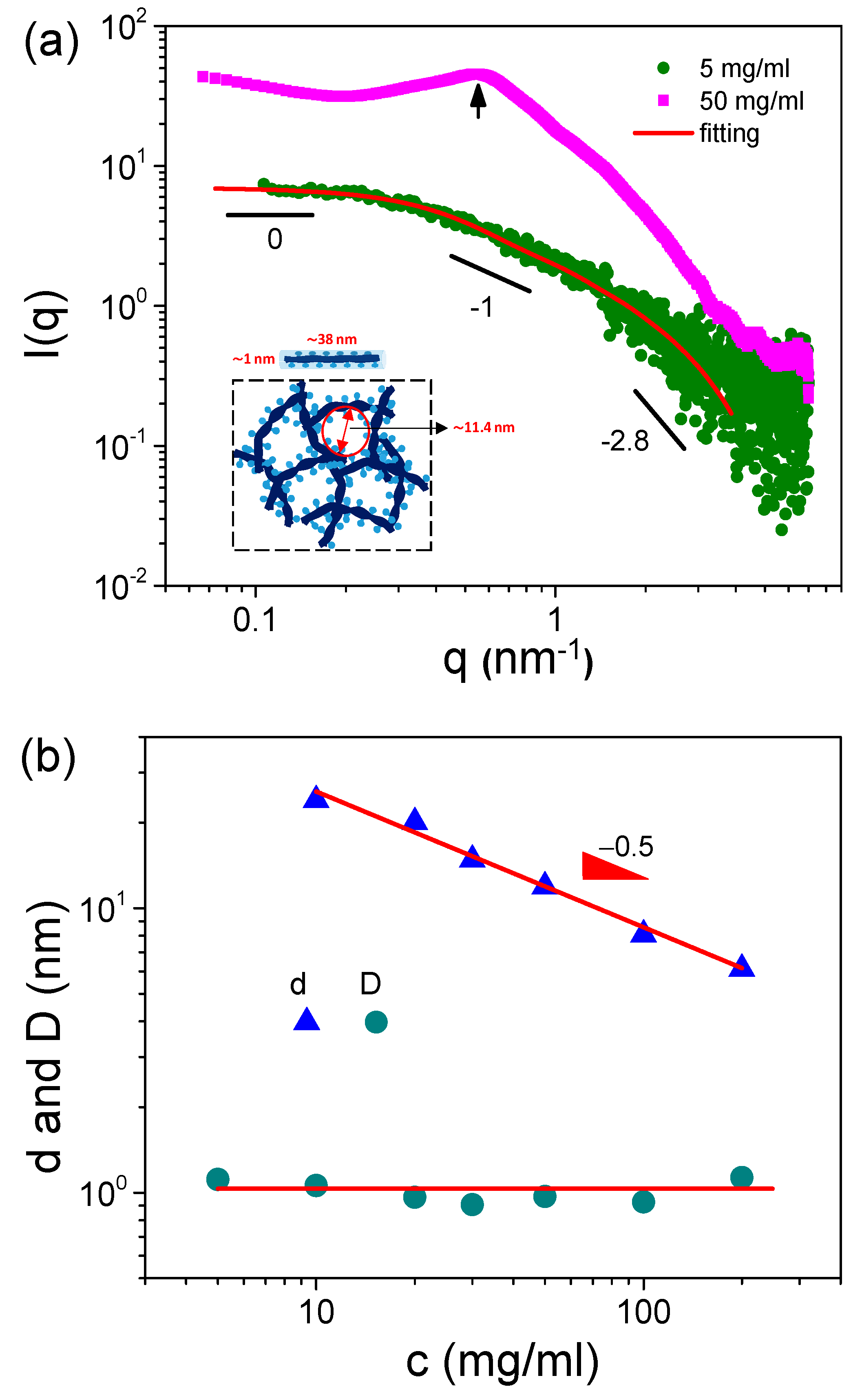 Polymers 16 01863 g001