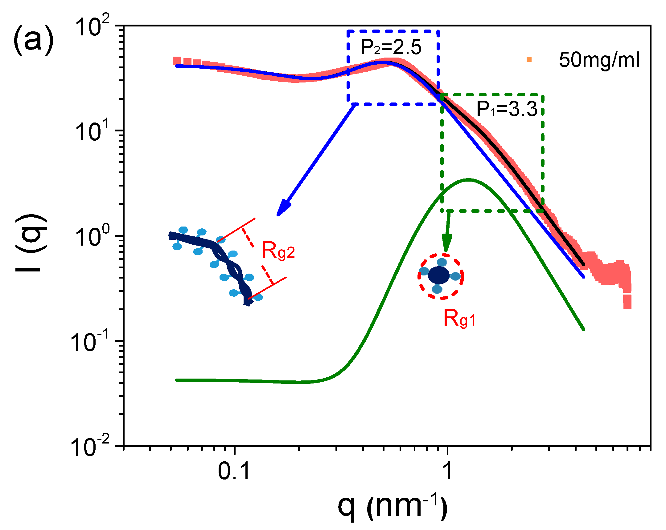 Polymers 16 01863 g002a