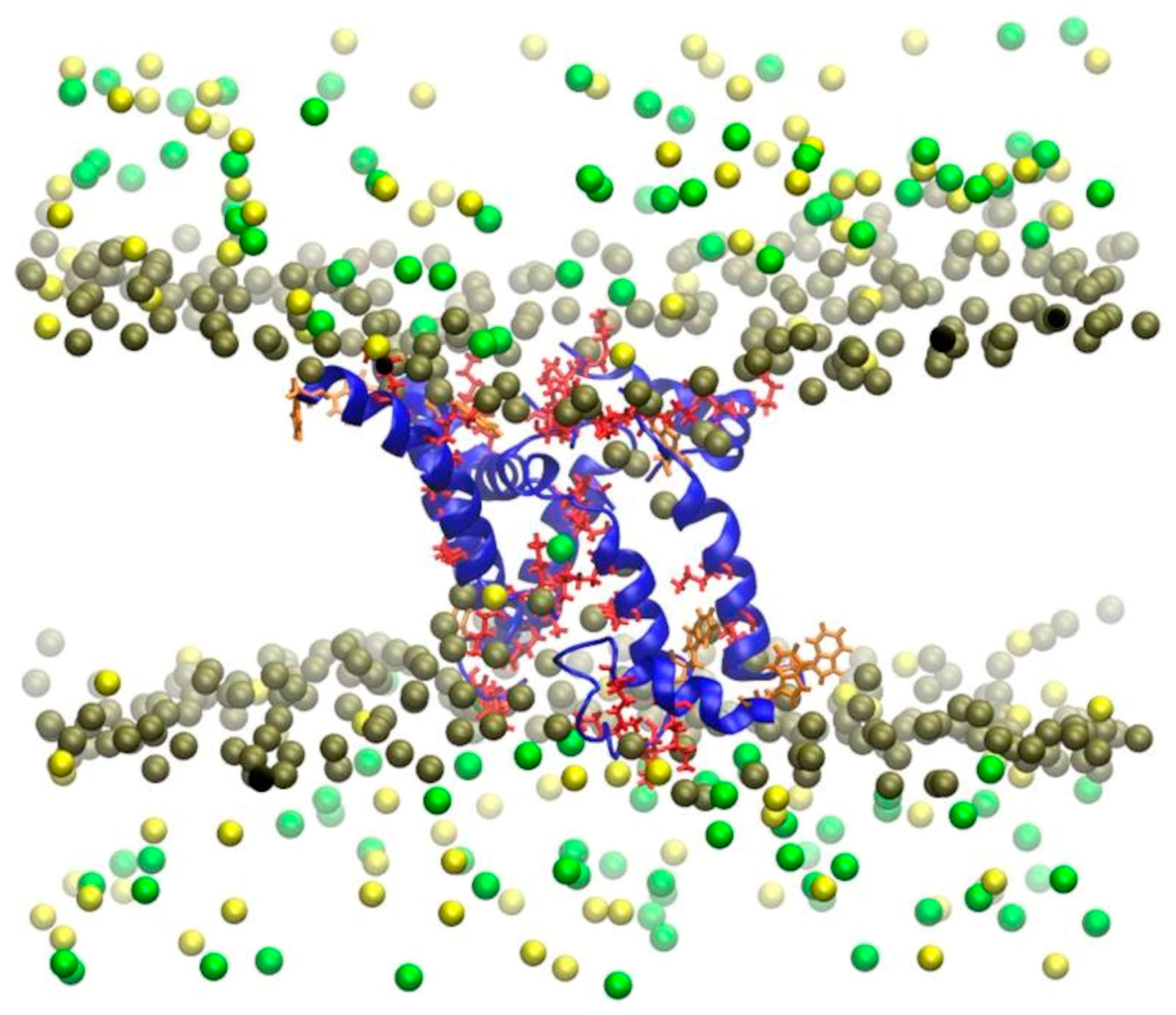 Polymers 16 01864 g006