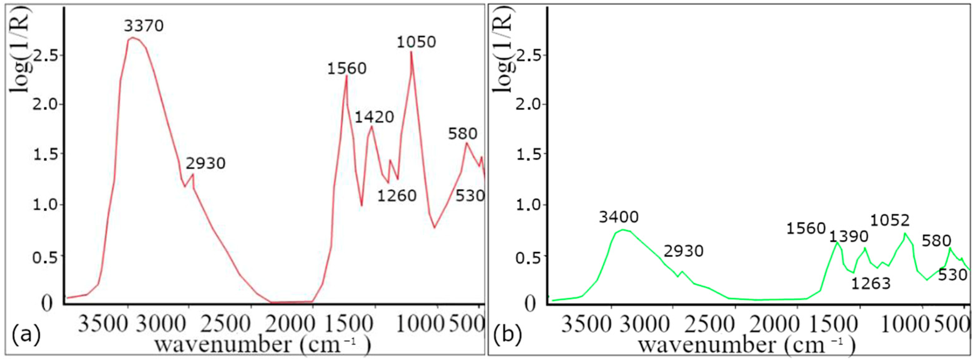 Polymers 16 01865 g001
