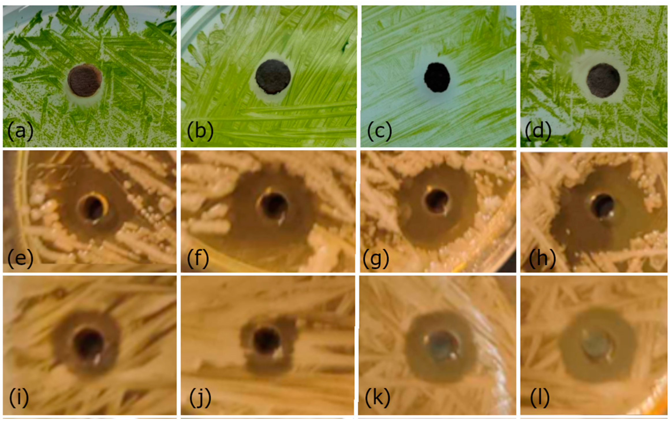 Polymers 16 01865 g007